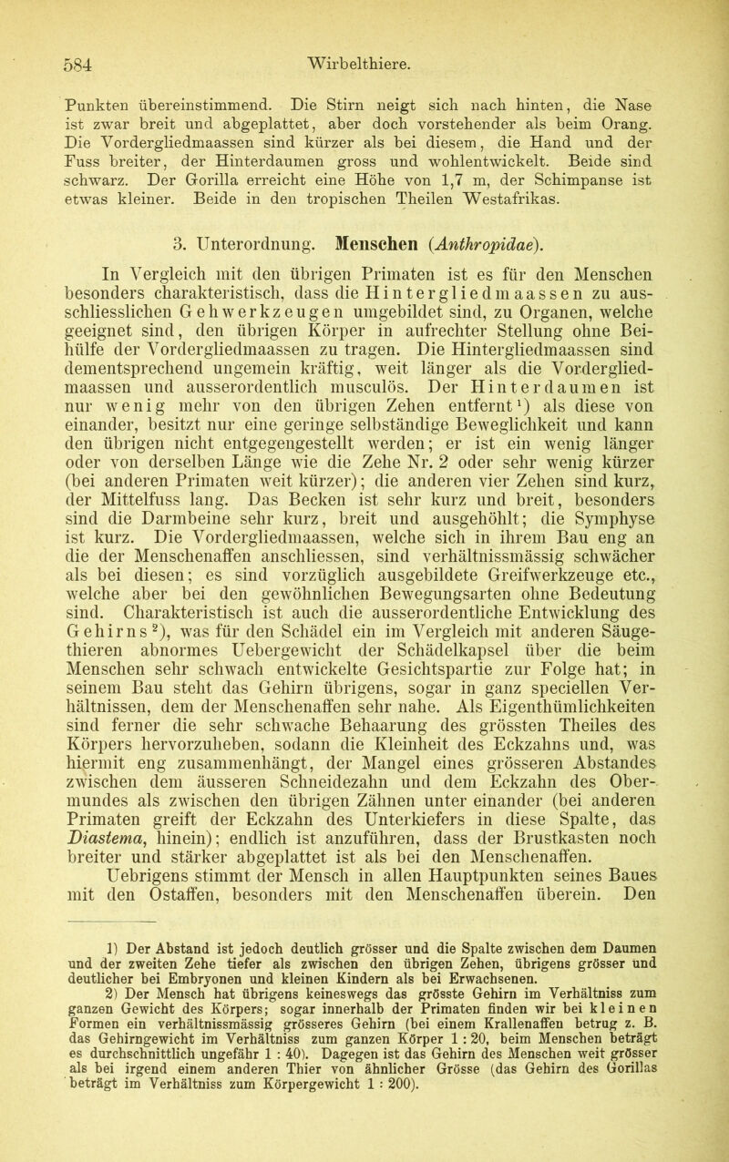 Punkten übereinstimmend. Die Stirn neigt sich nach hinten, die Nase ist zwar breit und abgeplattet, aber doch vorstehender als beim Orang. Die Vordergliedmaassen sind kürzer als bei diesem, die Hand und der Puss breiter, der Hinterdaumen gross und wohlentwickelt. Beide sind schwarz. Der Gorilla erreicht eine Höhe von 1,7 m, der Schimpanse ist etwas kleiner. Beide in den tropischen Theilen Westafrikas. 3. Unterordnung. Menschen (.Anthropidae). In Vergleich mit den übrigen Primaten ist es für den Menschen besonders charakteristisch, dass dieHintergliedmaassen zu aus- schliesslichen Gehwerkzeugen umgebildet sind, zu Organen, welche geeignet sind, den übrigen Körper in aufrechter Stellung ohne Bei- hülfe der Vordergliedmaassen zu tragen. Die Hintergliedmaassen sind dementsprechend ungemein kräftig, weit länger als die Vorderglied- maassen und ausserordentlich musculös. Der Hinterdaumen ist nur wenig mehr von den übrigen Zehen entfernt1) als diese von einander, besitzt nur eine geringe selbständige Beweglichkeit und kann den übrigen nicht entgegengestellt werden; er ist ein wenig länger oder von derselben Länge wie die Zehe Nr. 2 oder sehr wenig kürzer (bei anderen Primaten weit kürzer); die anderen vier Zehen sind kurz, der Mittelfuss lang. Das Becken ist sehr kurz und breit, besonders sind die Darmbeine sehr kurz, breit und ausgehöhlt; die Symphyse ist kurz. Die Vordergliedmaassen, welche sich in ihrem Bau eng an die der Menschenaffen anschliessen, sind verhältnissmässig schwächer als bei diesen; es sind vorzüglich ausgebildete Greifwerkzeuge etc., welche aber bei den gewöhnlichen Bewegungsarten ohne Bedeutung sind. Charakteristisch ist auch die ausserordentliche Entwicklung des Gehirns2), was für den Schädel ein im Vergleich mit anderen Säuge- thieren abnormes Uebergewicht der Schädelkapsel über die beim Menschen sehr schwach entwickelte Gesichtspartie zur Folge hat; in seinem Bau steht das Gehirn übrigens, sogar in ganz speciellen Ver- hältnissen, dem der Menschenaffen sehr nahe. Als Eigenthtimlichkeiten sind ferner die sehr schwache Behaarung des grössten Theiles des Körpers hervorzuheben, sodann die Kleinheit des Eckzahns und, was hiermit eng zusammenhängt, der Mangel eines grösseren Abstandes zwischen dem äusseren Schneidezahn und dem Eckzahn des Ober- mundes als zwischen den übrigen Zähnen unter einander (bei anderen Primaten greift der Eckzahn des Unterkiefers in diese Spalte, das Diastema, hinein); endlich ist anzuführen, dass der Brustkasten noch breiter und stärker abgeplattet ist als bei den Menschenaffen. Uebrigens stimmt der Mensch in allen Hauptpunkten seines Baues mit den Ostaffen, besonders mit den Menschenaffen überein. Den 1) Der Abstand ist jedoch deutlich grösser und die Spalte zwischen dem Daumen und der zweiten Zehe tiefer als zwischen den übrigen Zehen, übrigens grösser und deutlicher bei Embryonen und kleinen Kindern als bei Erwachsenen. 2) Der Mensch hat übrigens keineswegs das grösste Gehirn im Verhältniss zum ganzen Gewicht des Körpers; sogar innerhalb der Primaten finden wir bei kleinen Formen ein verhältnissmässig grösseres Gehirn (bei einem Krallenaffen betrag z. B. das Gehirngewicht im Verhältniss zum ganzen Körper 1 :20, beim Menschen beträgt es durchschnittlich ungefähr 1 : 40). Dagegen ist das Gehirn des Menschen weit grösser als bei irgend einem anderen Thier von ähnlicher Grösse (das Gehirn des Gorillas beträgt im Verhältniss zum Körpergewicht 1 : 200).