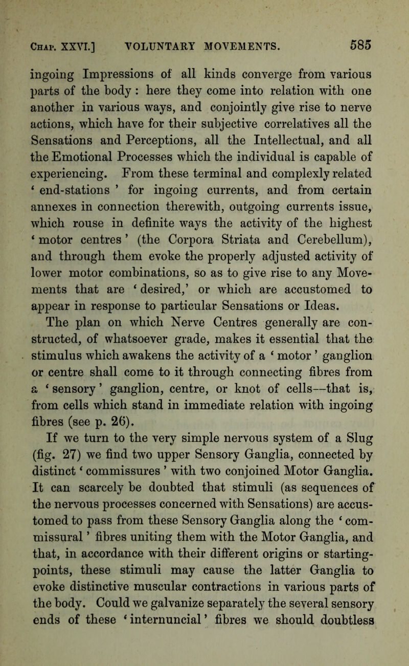 ingoing Impressions of all kinds converge from various parts of the body : here they come into relation with one another in various ways, and conjointly give rise to nerve actions, which have for their subjective correlatives all the Sensations and Perceptions, all the Intellectual, and all the Emotional Processes which the individual is capable of experiencing. From these terminal and complexly related ‘ end-stations ’ for ingoing currents, and from certain annexes in connection therewith, outgoing currents issue, which rouse in definite ways the activity of the highest ‘ motor centres ’ (the Corpora Striata and Cerebellum), and through them evoke the properly adjusted activity of lower motor combinations, so as to give rise to any Move- ments that are ‘ desired,’ or which are accustomed to appear in response to particular Sensations or Ideas. The plan on which Nerve Centres generally are con- structed, of whatsoever grade, makes it essential that the stimulus which awakens the activity of a ‘ motor ’ ganglion or centre shall come to it through connecting fibres from a ‘ sensory ’ ganglion, centre, or knot of cells—that is, from cells which stand in immediate relation with ingoing fibres (see p. 26). If we turn to the very simple nervous system of a Slug (fig. 27) we find two upper Sensory Ganglia, connected by distinct * commissures ’ with two conjoined Motor Ganglia. It can scarcely he doubted that stimuli (as sequences of the nervous processes concerned with Sensations) are accus- tomed to pass from these Sensory Ganglia along the ‘ com- missural ’ fibres uniting them with the Motor Ganglia, and that, in accordance with their different origins or starting- points, these stimuli may cause the latter Ganglia to evoke distinctive muscular contractions in various parts of the body. Could we galvanize separately the several sensory ends of these Gnternuncial ’ fibres we should doubtless