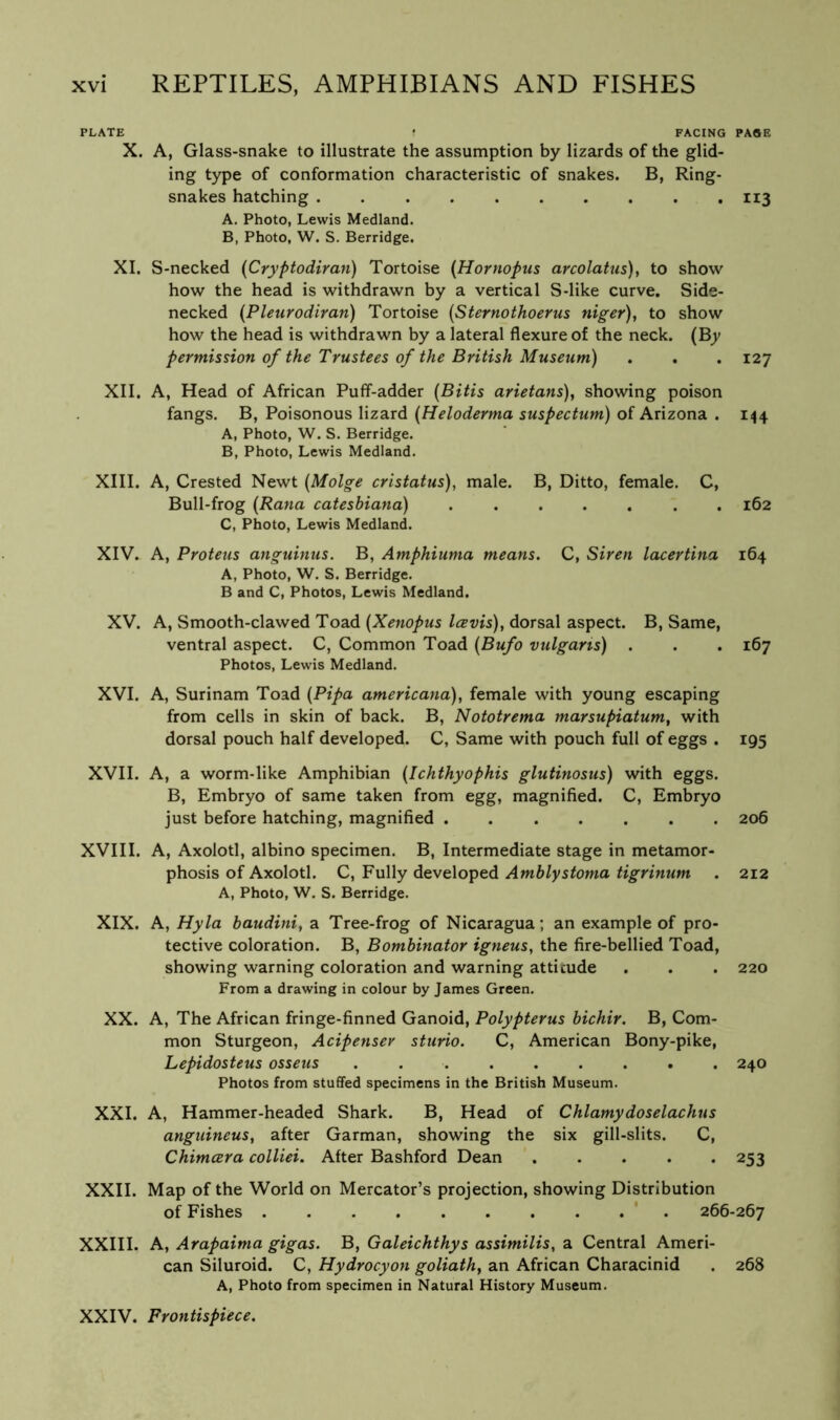PLATE • FACING PAGE X. A, Glass-snake to illustrate the assumption by lizards of the glid- ing type of conformation characteristic of snakes. B, Ring- snakes hatching 113 A. Photo, Lewis Medland. B, Photo, W. S. Berridge. XI. S-necked (Cryptodiran) Tortoise {Hornopus arcolatus), to show how the head is withdrawn by a vertical S-like curve. Side- necked (Pleurodiran) Tortoise {Sternothoerus niger), to show how the head is withdrawn by a lateral flexure of the neck. (By permission of the Trustees of the British Museum) . . . 127 XII. A, Head of African Puff-adder [Bitis arietans), showing poison fangs. B, Poisonous lizard {Heloderma suspectum) of Arizona . 144 A, Photo, W. S. Berridge. B, Photo, Lewis Medland. XIII. A, Crested Newt {Molge cristatus), male. B, Ditto, female. C, Bull-frog {Rana catesbiana) 162 C, Photo, Lewis Medland. XIV. A, Proteus anguinus. B, Amphiuma means. C, Siren lacertina 164 A, Photo, W. S. Berridge. B and C, Photos, Lewis Medland. XV. A, Smooth-clawed Toad (Xenopus Icevis), dorsal aspect. B, Same, ventral aspect. C, Common Toad {Bufo vulgaris) . . . 167 Photos, Lewis Medland. XVI. A, Surinam Toad {Pipa americana), female with young escaping from cells in skin of back. B, Nototrema marsupiatum, with dorsal pouch half developed. C, Same with pouch full of eggs . 195 XVII. A, a worm-like Amphibian (Ichthyophis glutinosus) with eggs. B, Embryo of same taken from egg, magnified. C, Embryo just before hatching, magnified 206 XVIII. A, Axolotl, albino specimen. B, Intermediate stage in metamor- phosis of Axolotl. C, Fully developed Amblystoma tigrinum . 212 A, Photo, W. S. Berridge. XIX. A, Hyla baudini, a Tree-frog of Nicaragua; an example of pro- tective coloration. B, Bombinator igneus, the fire-bellied Toad, showing warning coloration and warning atticude . . . 220 From a drawing in colour by James Green. XX. A, The African fringe-finned Ganoid, Polypterus bichir. B, Com- mon Sturgeon, Acipenser stiirio. C, American Bony-pike, Lepidosteus osseus . 240 Photos from stuffed specimens in the British Museum. XXI. A, Hammer-headed Shark. B, Head of Chlamydoselachus anguineus, after Garman, showing the six gill-slits. C, Chimeera colliei. After Bashford Dean 253 XXII. Map of the World on Mercator’s projection, showing Distribution of Fishes ’ . 266-267 XXIII. A, Arapaima gigas. B, Galeichthys assimilis, a Central Ameri- can Siluroid. C, Hydrocyon goliath, an African Characinid . 268 A, Photo from specimen in Natural History Museum. XXIV. Frontispiece.