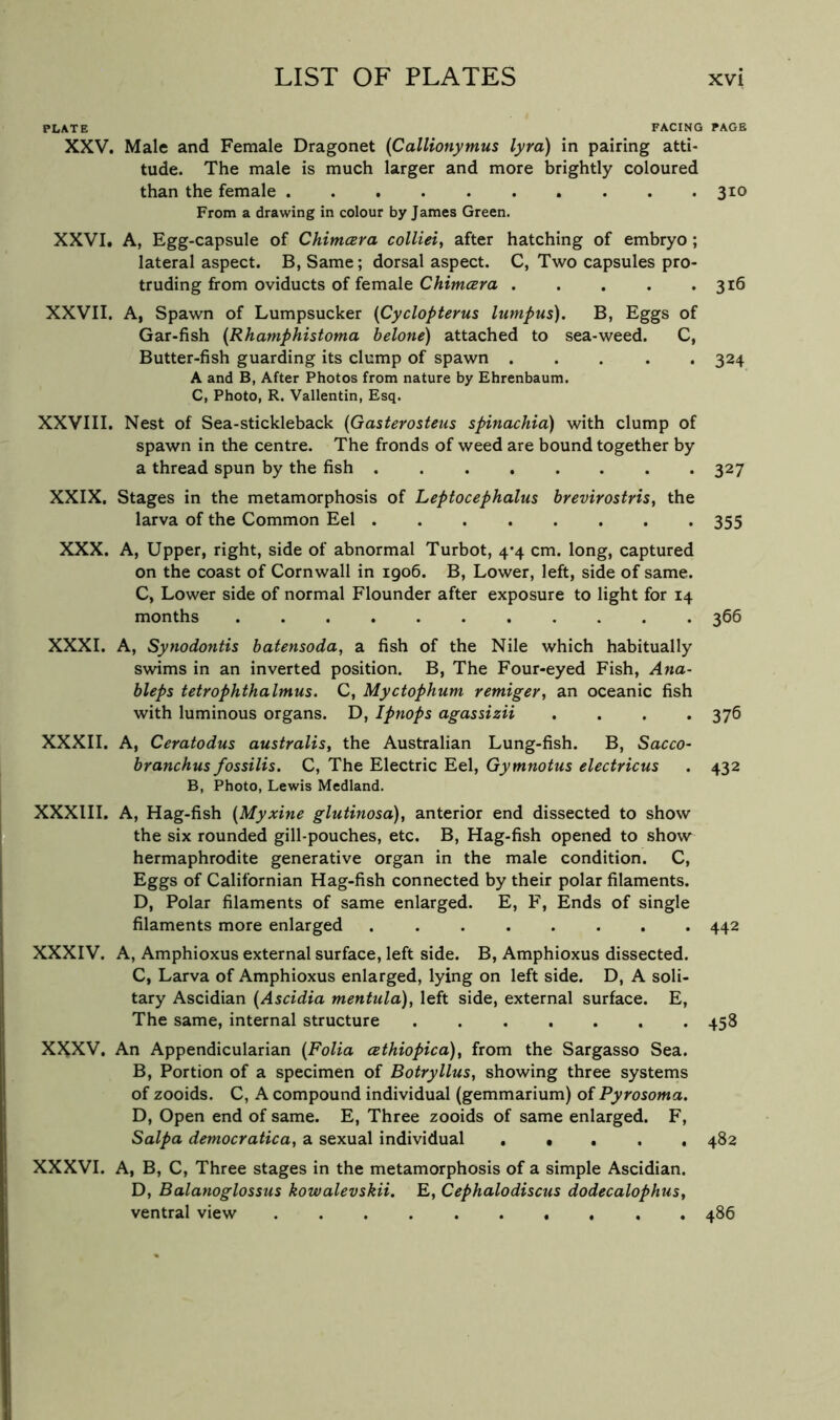 PLATE FACING PAGE XXV. Male and Female Dragonet (Callionymus lyra) in pairing atti- tude. The male is much larger and more brightly coloured than the female 310 From a drawing in colour by James Green. XXVI. A, Egg-capsule of Chimcera colliei, after hatching of embryo; lateral aspect. B, Same; dorsal aspect. C, Two capsules pro- truding from oviducts of female 316 XXVII. A, Spawn of Lumpsucker {Cyclopterus lumpus). B, Eggs of Gar-fish {Rhamphistoma helone) attached to sea-weed. C, Butter-fish guarding its clump of spawn 324 A and B, After Photos from nature by Ehrenbaum. C, Photo, R. Vallentin, Esq. XXVIII. Nest of Sea-stickleback {Gasterosteus spinachia) with clump of spawn in the centre. The fronds of weed are bound together by a thread spun by the fish 327 XXIX. Stages in the metamorphosis of Leptocephalus brevirostris, the larva of the Common Eel 355 XXX. A, Upper, right, side of abnormal Turbot, 4*4 cm. long, captured on the coast of Cornwall in 1906. B, Lower, left, side of same. C, Lower side of normal Flounder after exposure to light for 14 months 366 XXXI. A, Synodontis batensoda, a fish of the Nile which habitually swims in an inverted position. B, The Four-eyed Fish, Ana- bleps tetrophthalmus. C, Myctophum remiger, an oceanic fish with luminous organs. D, Ipnops agassizii .... 376 XXXII. A, Ceratodus australis, the Australian Lung-fish. B, Sacco- branchus fossilis. C, The Electric Eel, Gymnotus electricus . 432 B, Photo, Lewis Mcdland. XXXIII. A, Hag-fish (Myxine glutinosa), anterior end dissected to show the six rounded gill-pouches, etc. B, Hag-fish opened to show hermaphrodite generative organ in the male condition. C, Eggs of Californian Hag-fish connected by their polar filaments. D, Polar filaments of same enlarged. E, F, Ends of single filaments more enlarged 442 XXXIV. A, Amphioxus external surface, left side. B, Amphioxus dissected. C, Larva of Amphioxus enlarged, lying on left side. D, A soli- tary Ascidian {Ascidia mentula), left side, external surface. E, The same, internal structure ....... 458 XXXV. An Appendicularian {Folia cethiopica), from the Sargasso Sea. B, Portion of a specimen of Botryllus, showing three systems of zooids. C, A compound individual (gemmarium) of Pyrosoma. D, Open end of same. E, Three zooids of same enlarged. F, Salpa democratica, a sexual individual . • . . . 482 XXXVI. A, B, C, Three stages in the metamorphosis of a simple Ascidian. D, Balanoglossus kowalevskii, E, Cephalodiscus dodecalophus, ventral view 486