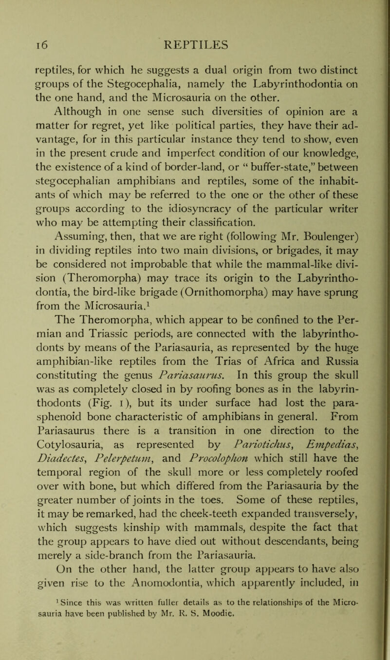 reptiles, for which he suggests a dual origin from two distinct groups of the Stegocephalia, namely the Labyrinthodontia on the one hand, and the Microsauria on the other. Although in one sense such diversities of opinion are a matter for regret, yet like political parties, they have their ad- vantage, for in this particular instance they tend to show, even in the present crude and imperfect condition of our knowledge, the existence of a kind of border-land, or “ buffer-state,” between stegocephalian amphibians and reptiles, some of the inhabit- ants of which may be referred to the one or the other of these groups according to the idiosyncracy of the particular writer who may be attempting their classification. Assuming, then, that we are right (following Mr. Boulenger) in dividing reptiles into two main divisions, or brigades, it may be considered not improbable that while the mammal-like divi- sion (Theromorpha) may trace its origin to the Labyrintho- dontia, the bird-like brigade (Ornithomorpha) may have sprung from the Microsauria.^ The Theromorpha, which appear to be confined to the Per- mian and Triassic periods, are connected with the labyrintho- donts by means of the Pariasauria, as represented by the huge amphibian-like reptiles from the Trias of Africa and Russia constituting the genus Pariasaurus. In this group the skull was as completely closed in by roofing bones as in the labyrin- thodonts (Fig. i), but its under surface had lost the para- sphenoid bone characteristic of amphibians in general. From Pariasaurus there is a transition in one direction to the Cotylosauria, as represented by Pariotichus, Ernpedias, DiadecteSy Pelerpetum, and Pi'ocolophon which still have the temporal region of the skull more or less completely roofed over with bone, but which differed from the Pariasauria by the greater number of joints in the toes. Some of these reptiles, it may be remarked, had the cheek-teeth expanded transversely, which suggests kinship with mammals, despite the fact that the group appears to have died out without descendants, being merely a side-branch from the Pariasauria. On the other hand, the latter group appears to have also given rise to the Anomodontia, which apparently included, in ^ Since this was written fuller details as to the relationships of the Micro- sauria have been published by Mr. R. S. Moodie.