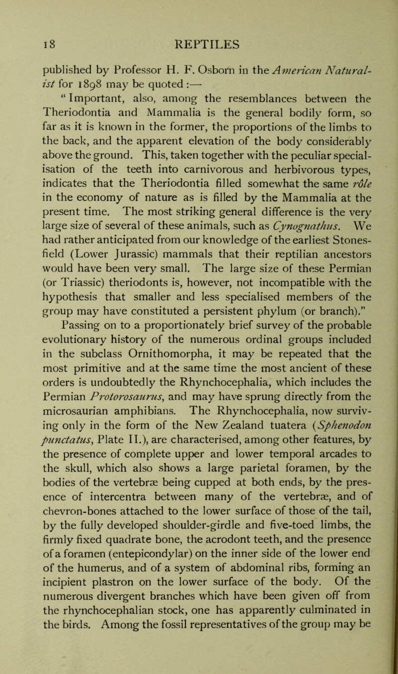 published by Professor H. F. Osborn in the American Natural- ist for 1898 may be quoted :— “ Important, also, among the resemblances between the Theriodontia and Mammalia is the general bodily form, so far as it is known in the former, the proportions of the limbs to the back, and the apparent elevation of the body considerably above the ground. This, taken together with the peculiar special- isation of the teeth into carnivorous and herbivorous types, indicates that the Theriodontia filled somewhat the same role in the economy of nature as is filled by the Mammalia at the present time. The most striking general difference is the very large size of several of these animals, such as Cynugnathus. We had rather anticipated from our knowledge of the earliest Stones- field (Lower Jurassic) mammals that their reptilian ancestors would have been very small. The large size of these Permian (or Triassic) theriodonts is, however, not incompatible with the hypothesis that smaller and less specialised members of the group may have constituted a persistent phylum (or branch).” Passing on to a proportionately brief survey of the probable evolutionary history of the numerous ordinal groups included in the subclass Ornithomorpha, it may be repeated that the most primitive and at the same time the most ancient of these orders is undoubtedly the Rhynchocephalia, which includes the Permian Protorosaurus, and may have sprung directly from the microsaurian amphibians. The Rhynchocephalia, now surviv- ing only in the form of the New Zealand tuatera {Sphenodon punctatus^ Plate II.), are characterised, among other features, by the presence of complete upper and lower temporal arcades to the skull, which also shows a large parietal foramen, by the bodies of the vertebrae being cupped at both ends, by the pres- ence of intercentra between many of the vertebrae, and of chevron-bones attached to the lower surface of those of the tail, by the fully developed shoulder-girdle and five-toed limbs, the firmly fixed quadrate bone, the acrodont teeth, and the presence of a foramen (entepicondylar) on the inner side of the lower end of the humerus, and of a system of abdominal ribs, forming an incipient plastron on the lower surface of the body. Of the numerous divergent branches which have been given off from the rhynchocephalian stock, one has apparently culminated in the birds. Among the fossil representatives of the group may be