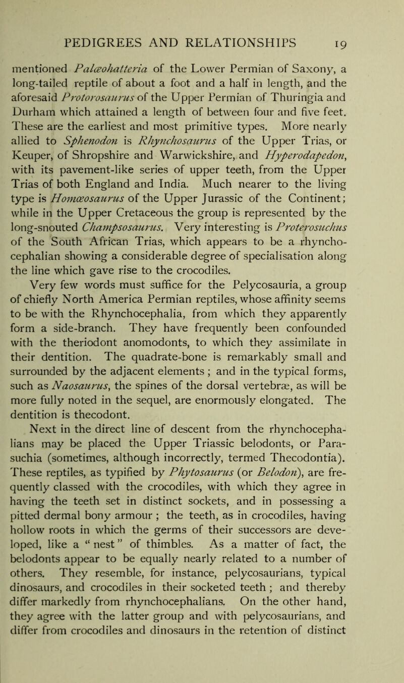 mentioned Palceohatteria of the Lower Permian of Saxony, a long-tailed reptile of about a foot and a half in length, and the aforesaid Protorosaurus of the Upper Permian of Thuringia and Durham which attained a length of between four and five feet. These are the earliest and most primitive types. More nearly allied to Sphenodo7i is Rhynchosaums of the Upper Trias, or Keuper, of Shropshire and Warwickshire, and Hype^'odapedon^ with its pavement-like series of upper teeth, from the Upper Trias of both England and India. Much nearer to the living type is Homoeosaui'us of the Upper Jurassic of the Continent; while in the Upper Cretaceous the group is represented by the long-snouted Champsosaurus. Very interesting is Protei'osuchus of the South African Trias, which appears to be a rhyncho- cephalian showing a considerable degree of specialisation along the line which gave rise to the crocodiles. Very few words must suffice for the Pelycosauria, a group of chiefly North America Permian reptiles, whose affinity seems to be with the Rhynchocephalia, from which they apparently form a side-branch. They have frequently been confounded with the theriodont anomodonts, to which they assimilate in their dentition. The quadrate-bone is remarkably small and surrounded by the adjacent elements ; and in the typical forms, such as Naosaurus, the spines of the dorsal vertebrae, as will be more fully noted in the sequel, are enormously elongated. The dentition is thecodont. Next in the direct line of descent from the rhynchocepha- lians may be placed the Upper Triassic belodonts, or Para- suchia (sometimes, although incorrectly, termed Thecodontia). These reptiles, as typified by Phytosaurus (or Belodoii)^ are fre- quently classed with the crocodiles, with which they agree in having the teeth set in distinct sockets, and in possessing a pitted dermal bony armour ; the teeth, as in crocodiles, having hollow roots in which the germs of their successors are deve- loped, like a “ nest ” of thimbles. As a matter of fact, the belodonts appear to be equally nearly related to a number of others. They resemble, for instance, pelycosaurians, typical dinosaurs, and crocodiles in their socketed teeth ; and thereby differ markedly from rhynchocephalians. On the other hand, they agree with the latter group and with pelycosaurians, and differ from crocodiles and dinosaurs in the retention of distinct