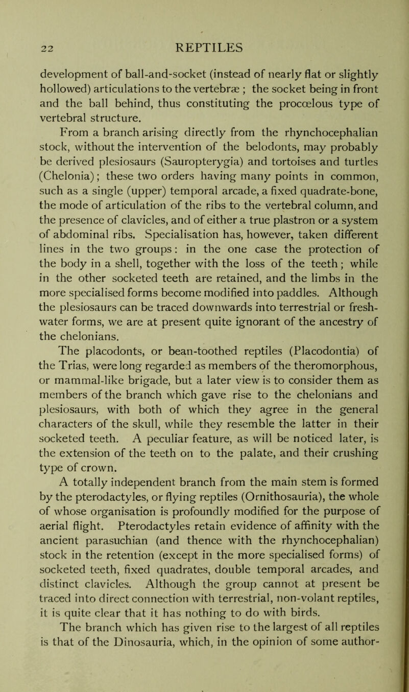 development of ball-and-socket (instead of nearly flat or slightly hollowed) articulations to the vertebrae ; the socket being in front and the ball behind, thus constituting the procoelous type of vertebral structure. From a branch arising directly from the rhynchocephalian stock, without the intervention of the belodonts, may probably be derived plesiosaurs (Sauropterygia) and tortoises and turtles (Chelonia); these two orders having many points in common, such as a single (upper) temporal arcade, a fixed quadrate-bone, the mode of articulation of the ribs to the vertebral column, and the presence of clavicles, and of either a true plastron or a system of abdominal ribs. Specialisation has, however, taken different lines in the two groups: in the one case the protection of the body in a shell, together with the loss of the teeth; while in the other socketed teeth are retained, and the limbs in the more specialised forms become modified into paddles. Although the plesiosaurs can be traced downwards into terrestrial or fresh- water forms, we are at present quite ignorant of the ancestry of the chelonians. The placodonts, or bean-toothed reptiles (Placodontia) of the Trias, were long regarded as members of the theromorphous, or mammal-like brigade, but a later view is to consider them as members of the branch which gave rise to the chelonians and plesiosaurs, with both of which they agree in the general characters of the skull, while they resemble the latter in their socketed teeth. A peculiar feature, as will be noticed later, is the extension of the teeth on to the palate, and their crushing type of crown. A totally independent branch from the main stem is formed by the pterodactyles, or flying reptiles (Ornithosauria), the whole of whose organisation is profoundly modified for the purpose of aerial flight. Pterodactyles retain evidence of affinity with the ancient parasuchian (and thence with the rhynchocephalian) stock in the retention (except in the more specialised forms) of socketed teeth, fixed quadrates, double temporal arcades, and distinct clavicles. Although the group cannot at present be traced into direct connection with terrestrial, non-volant reptiles, it is quite clear that it has nothing to do with birds. The branch which has given rise to the largest of all reptiles is that of the Dinosauria, which, in the opinion of some author-