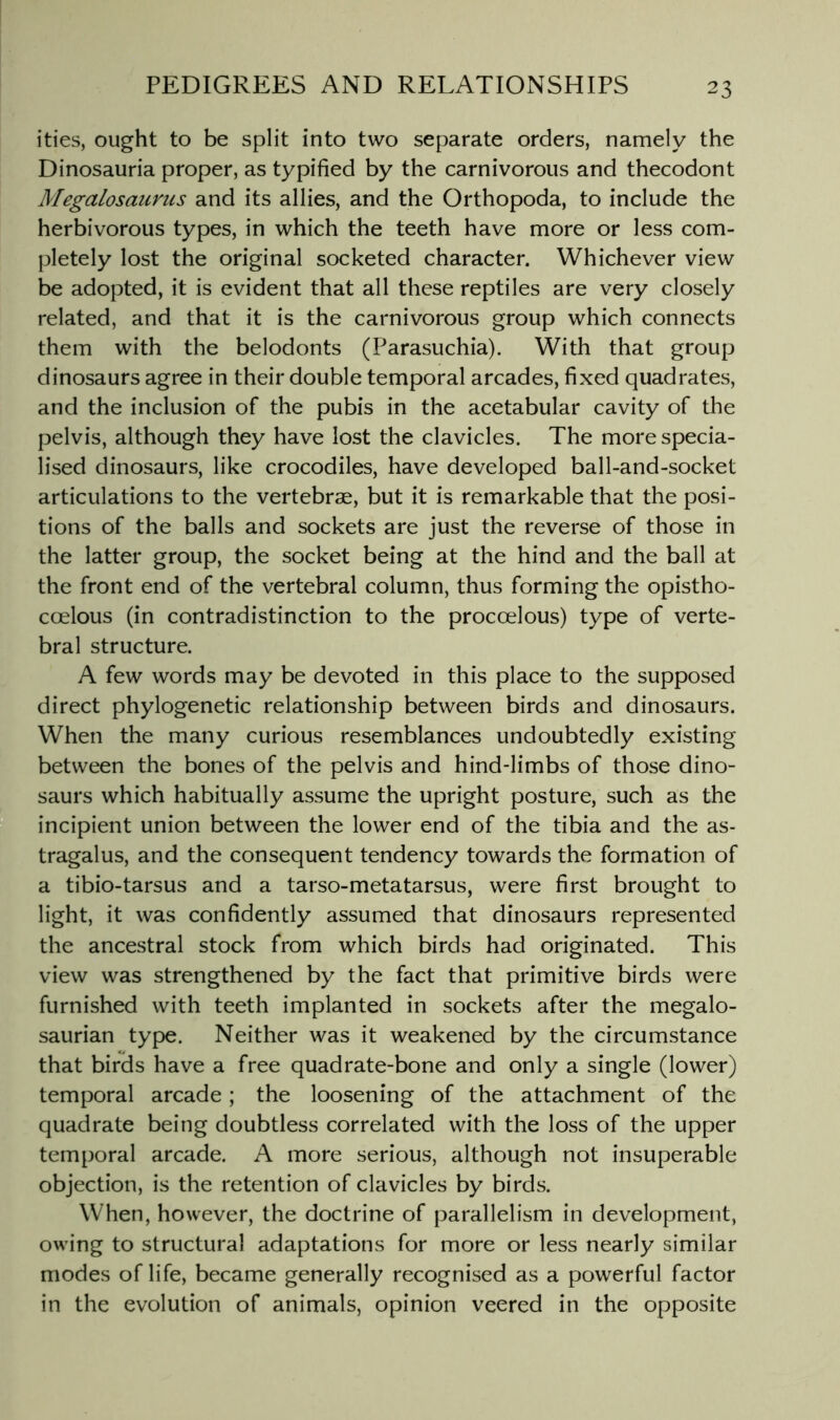 ities, ought to be split into two separate orders, namely the Dinosauria proper, as typified by the carnivorous and thecodont Megalosaurus and its allies, and the Orthopoda, to include the herbivorous types, in which the teeth have more or less com- pletely lost the original socketed character. Whichever view be adopted, it is evident that all these reptiles are very closely related, and that it is the carnivorous group which connects them with the belodonts (Parasuchia). With that group dinosaurs agree in their double temporal arcades, fixed quadrates, and the inclusion of the pubis in the acetabular cavity of the pelvis, although they have lost the clavicles. The more specia- lised dinosaurs, like crocodiles, have developed ball-and-socket articulations to the vertebrae, but it is remarkable that the posi- tions of the balls and sockets are just the reverse of those in the latter group, the socket being at the hind and the ball at the front end of the vertebral column, thus forming the opistho- coelous (in contradistinction to the procoelous) type of verte- bral structure. A few words may be devoted in this place to the supposed direct phylogenetic relationship between birds and dinosaurs. When the many curious resemblances undoubtedly existing between the bones of the pelvis and hind-limbs of those dino- saurs which habitually assume the upright posture, such as the incipient union between the lower end of the tibia and the as- tragalus, and the consequent tendency towards the formation of a tibio-tarsus and a tarso-metatarsus, were first brought to light, it was confidently assumed that dinosaurs represented the ancestral stock from which birds had originated. This view was strengthened by the fact that primitive birds were furnished with teeth implanted in sockets after the megalo- saurian type. Neither was it weakened by the circumstance that birds have a free quadrate-bone and only a single (lower) temporal arcade; the loosening of the attachment of the quadrate being doubtless correlated with the loss of the upper temporal arcade. A more serious, although not insuperable objection, is the retention of clavicles by birds. When, however, the doctrine of parallelism in development, owing to structural adaptations for more or less nearly similar modes of life, became generally recognised as a powerful factor in the evolution of animals, opinion veered in the opposite