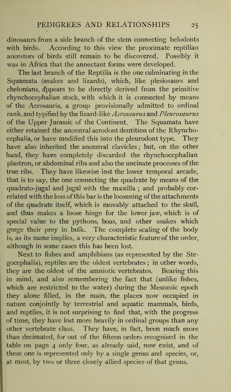 dinosaurs from a side branch of the stem connecting belodonts with birds. According to this view the proximate reptilian ancestors of birds still remain to be discovered. Possibly it was in Africa that the annectant forms were developed. The last branch of the Reptilia is the one culminating in the Squamata (snakes and lizards), which, like plesiosaurs and chelonians, appears to be directly derived from the primitive rhynchocephalian stock, with which it is connected by means of the Acrosauria, a group provisionally admitted to ordinal rank, and typified by the lizard-like Ac/vsaums and Pleurosaurus of the Upper Jurassic of the Continent. The Squamata have either retained the ancestral acrodont dentition of the Rhyncho- cephalia, or have modified this into the pleurodont type. They have also inherited the ancestral clavicles; but, on the other hand, they have completely discarded the rhynchocephalian plastron, or abdominal ribs and also the uncinate processes of the true ribs. They have likewise lost the lower temporal arcade, that is to say, the one connecting the quadrate by means of the quadrato-jugal and jugal with the maxilla ; and probably cor- related with the loss of this bar is the loosening of the attachments of the quadrate itself, which is movably attached to the skull, and thus makes a loose hinge for the lower jaw, which is of special value to the pythons, boas, and other snakes which gorge their prey in bulk. The complete scaling of the body is, as its name implies, a very characteristic feature of the order, although in some cases this has been lost. Next to fishes and amphibians (as represented by the Ste- gocephalia), reptiles are the oldest vertebrates; in other words, they are the oldest of the amniotic vertebrates. Bearing this in mind, and also remembering the fact that (unlike fishes, which are restricted to the water) during the Mesozoic epoch they alone filled, in the main, the places now occupied in nature conjointly by terrestrial and aquatic mammals, birds, and reptiles, it is not surprising to find that, with the progress of time, they have lost more heavily in ordinal groups than any other vertebrate class. They have, in fact, been much more than decimated, for out of the fifteen orders recognised in the table on page 4 only four, as already said, now exist, and of these one is represented only by a single genus and species, or, at most, by two or three closely allied species of that genus,