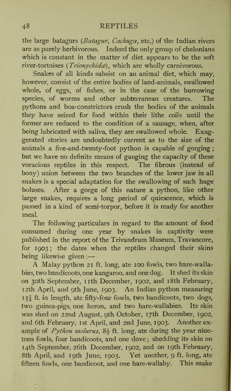 the large batagurs {Batagiir, Cachuga, etc.) of the Indian rivers are as purely herbivorous. Indeed the only group of chelonians which is constant in the matter of diet appears to be the soft river-tortoises {Trionychides)^ which are wholly carnivorous. Snakes of all kinds subsist on an animal diet, which may, however, consist of the entire bodies of land-animals, swallowed whole, of eggs, of fishes, or in the case of the burrowing species, of worms and other subterranean creatures. The pythons and boa-constrictors crush the bodies of the animals they have seized for food within their lithe coils until the former are reduced to the condition of a sausage, when, after being lubricated with saliva, they are swallowed whole. Exag- gerated stories are undoubtedly current as to the size of the animals a five-and-twenty-foot python is capable of gorging; but we have no definite means of gauging the capacity of these voracious reptiles in this respect. The fibrous (instead of bony) union between the two branches of the lower jaw in all snakes is a special adaptation for the swallowing of such huge boluses. After a gorge of this nature a python, like other large snakes, requires a long period of quiescence, which is passed in a kind of semi-torpor, before it is ready for another meal. The following particulars in regard to the amount of food consumed during one year by snakes in captivity were published in the report of the Trivandrum Museum, Travancore, for 1903; the dates when the reptiles changed their skins being likewise given :— A Malay python 21 ft. long, ate 100 fowls, two hare-walla- bies, two bandicoots, one kangaroo, and one dog. It shed its skin on 30th September, nth December, 1902, and i8th February, I2th April, and 9th June, 1903. An Indian python measuring 1ft. in length, ate fifty-four fowls, two bandicoots, two dogs, two guinea-pigs, one heron, and two hare-wallabies. Its skin was shed on 22nd August, 9th October, 17th December, 1902, and 6th February, ist April, and 2nd June, 1903. Another ex- ample of Python molurus, 8^ ft. long, ate during the year nine- teen fowls, four bandicoots, and one dove; shedding its skin on 14th September, 26th December, 1902, and on 19th February, 8th April, and 19th June, 1903. Yet another, 9 ft. long, ate fifteen fowls, one bandicoot, and one hare-wallaby. This snake