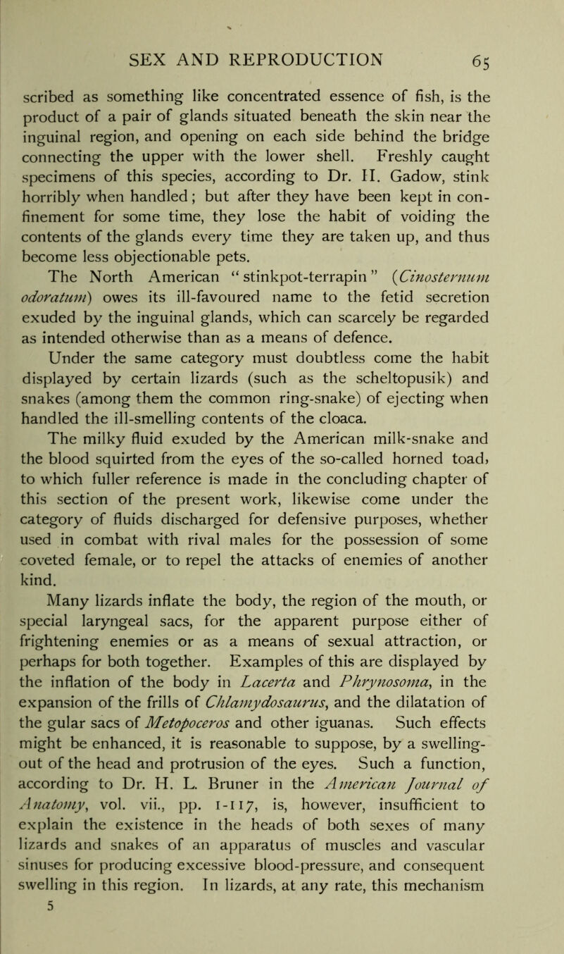 scribed as something like concentrated essence of fish, is the product of a pair of glands situated beneath the skin near the inguinal region, and opening on each side behind the bridge connecting the upper with the lower shell. Freshly caught specimens of this species, according to Dr. II. Gadow, stink horribly when handled; but after they have been kept in con- finement for some time, they lose the habit of voiding the contents of the glands every time they are taken up, and thus become less objectionable pets. The North American “stinkpot-terrapin” {Cinostenium odoratuni) owes its ill-favoured name to the fetid secretion exuded by the inguinal glands, which can scarcely be regarded as intended otherwise than as a means of defence. Under the same category must doubtless come the habit displayed by certain lizards (such as the scheltopusik) and snakes (among them the common ring-snake) of ejecting when handled the ill-smelling contents of the cloaca. The milky fluid exuded by the American milk-snake and the blood squirted from the eyes of the so-called horned toad> to which fuller reference is made in the concluding chapter of this section of the present work, likewise come under the category of fluids discharged for defensive purposes, whether used in combat with rival males for the possession of some S',coveted female, or to repel the attacks of enemies of another kind. '* Many lizards inflate the body, the region of the mouth, or special laryngeal sacs, for the apparent purpose either of frightening enemies or as a means of sexual attraction, or perhaps for both together. Examples of this are displayed by the inflation of the body in Lacerta and Phrynosoma^ in the expansion of the frills of ChlaniydosaurnSy and the dilatation of the gular sacs of Metopoceros and other iguanas. Such effects might be enhanced, it is reasonable to suppose, by a swelling- out of the head and protrusion of the eyes. Such a function, according to Dr. H. L. Bruner in the American Journal of Anatomy, vol. vii., pp. 1-117, is, however, insufficient to explain the existence in the heads of both sexes of many lizards and snakes of an apparatus of muscles and vascular sinuses for producing excessive blood-pressure, and consequent swelling in this region. In lizards, at any rate, this mechanism 5