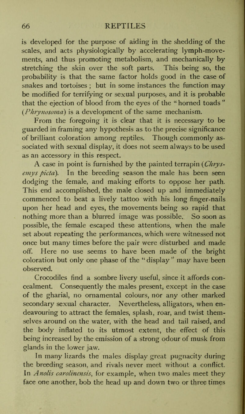 is developed for the purpose of aiding in the shedding of the scales, and acts physiologically by accelerating lymph-move- ments, and thus promoting metabolism, and mechanically by stretching the skin over the soft parts. This being so, the probability is that the same factor holds good in the case of snakes and tortoises ; but in some instances the function may be modified for terrifying or sexual purposes, and it is probable that the ejection of blood from the eyes of the “ horned toads ” {Phrynosonia) is a development of the same mechanism. From the foregoing it is clear that it is necessary to be guarded in framing any hypothesis as to the precise significance of brilliant coloration among reptiles. Though commonly as- sociated with sexual display, it does not seem always to be used as an accessory in this respect. A case in point is furnished by the painted terrapin {Chrys- eniys pictd). In the breeding season the male has been seen dodging the female, and making efforts to oppose her path. This end accomplished, the male closed up and immediately commenced to beat a lively tattoo with his long finger-nails upon her head and eyes, the movements being so rapid that nothing more than a blurred image was possible. So soon as possible, the female escaped these attentions, when the male set about repeating the performances, which were witnessed not once but many times before the pair were disturbed and made off. Here no use seems to have been made of the bright coloration but only one phase of the “ display ” may have been observed. Crocodiles find a sombre livery useful, since it affords con- cealment. Consequently the males present, except in the case of the gharial, no ornamental colours, nor any other marked secondary sexual character. Nevertheless, alligators, when en- deavouring to attract the females, splash, roar, and twist them- selves around on the water, with the head and tail raised, and the body inflated to its utmost extent, the effect of this being increased by the emission of a strong odour of musk from glands in the lower jaw. In many lizards the males display great pugnacity during the breeding season, and rivals never meet without a conflict. In Anolis carolinensis, for example, when two males meet they face one another, bob the head up and down two or three times