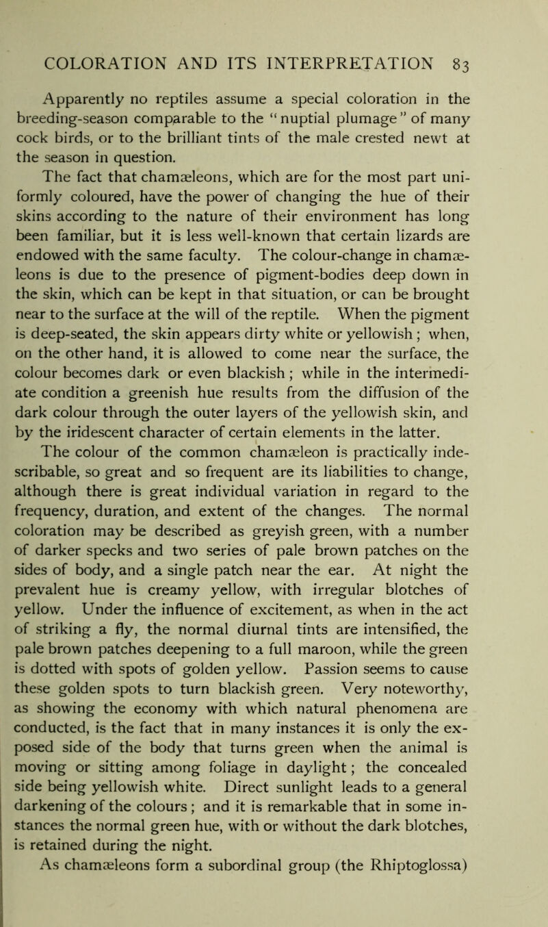 Apparently no reptiles assume a special coloration in the breeding-season comparable to the “nuptial plumage” of many cock birds, or to the brilliant tints of the male crested newt at the season in question. The fact that chamaeleons, which are for the most part uni- formly coloured, have the power of changing the hue of their skins according to the nature of their environment has long been familiar, but it is less well-known that certain lizards are endowed with the same faculty. The colour-change in chamae- leons is due to the presence of pigment-bodies deep down in the skin, which can be kept in that situation, or can be brought near to the surface at the will of the reptile. When the pigment is deep-seated, the skin appears dirty white or yellowish ; when, on the other hand, it is allowed to come near the surface, the colour becomes dark or even blackish; while in the intermedi- ate condition a greenish hue results from the diffusion of the dark colour through the outer layers of the yellowish skin, and by the iridescent character of certain elements in the latter. The colour of the common chamaeleon is practically inde- scribable, so great and so frequent are its liabilities to change, although there is great individual variation in regard to the frequency, duration, and extent of the changes. The normal coloration may be described as greyish green, with a number of darker specks and two series of pale brown patches on the sides of body, and a single patch near the ear. At night the prevalent hue is creamy yellow, with irregular blotches of yellow. Under the influence of excitement, as when in the act of striking a fly, the normal diurnal tints are intensified, the pale brown patches deepening to a full maroon, while the green is dotted with spots of golden yellow. Passion seems to cause these golden spots to turn blackish green. Very noteworthy, as showing the economy with which natural phenomena are conducted, is the fact that in many instances it is only the ex- posed side of the body that turns green when the animal is moving or sitting among foliage in daylight; the concealed side being yellowish white. Direct sunlight leads to a general darkening of the colours ; and it is remarkable that in some in- stances the normal green hue, with or without the dark blotches, is retained during the night. As chamaeleons form a subordinal group (the Rhiptoglossa)