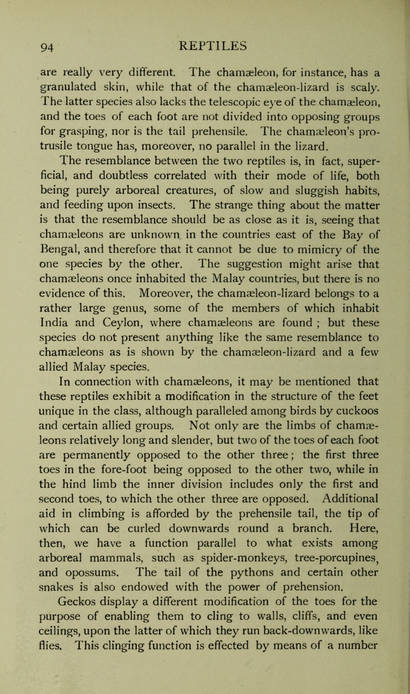are really very different. The chamseleon, for instance, has a granulated skin, while that of the chamaeleon-lizard is scaly. The latter species also lacks the telescopic eye of the chamaeleon, and the toes of each foot are not divided into opposing groups for grasping, nor is the tail prehensile. The chamaeleon’s pro- trusile tongue has, moreover, no parallel in the lizard. The resemblance between the two reptiles is, in fact, super- ficial, and doubtless correlated with their mode of life, both being purely arboreal creatures, of slow and sluggish habits, and feeding upon insects. The strange thing about the matter is that the resemblance should be as close as it is, seeing that chamaeleons are unknown in the countries east of the Bay of Bengal, and therefore that it cannot be due to mimicry of the one species by the other. The suggestion might arise that chamjeleons once inhabited the Malay countries, but there is no evidence of this. Moreover, the chamaeleon-lizard belongs to a rather large genus, some of the members of which inhabit India and Ceylon, where chamaeleons are found ; but the.se species do not present anything like the same resemblance to chamaeleons as is shown by the chamaeleon-lizard and a few allied Malay species. In connection with chamaeleons, it may be mentioned that these reptiles exhibit a modification in the structure of the feet unique in the class, although paralleled among birds by cuckoos and certain allied groups. Not only are the limbs of chamae- leons relatively long and slender, but two of the toes of each foot are permanently opposed to the other three; the first three toes in the fore-foot being opposed to the other two, while in the hind limb the inner division includes only the first and second toes, to which the other three are opposed. Additional aid in climbing is afforded by the prehensile tail, the tip of which can be curled downwards round a branch. Here, then, we have a function parallel to what exists among arboreal mammals, such as spider-monkeys, tree-porcupines, and opossums. The tail of the pythons and certain other snakes is also endowed with the power of prehension. Geckos display a different modification of the toes for the purpose of enabling them to cling to walls, cliffs, and even ceilings, upon the latter of which they run back-downwards, like flies. This clinging function is effected by means of a number