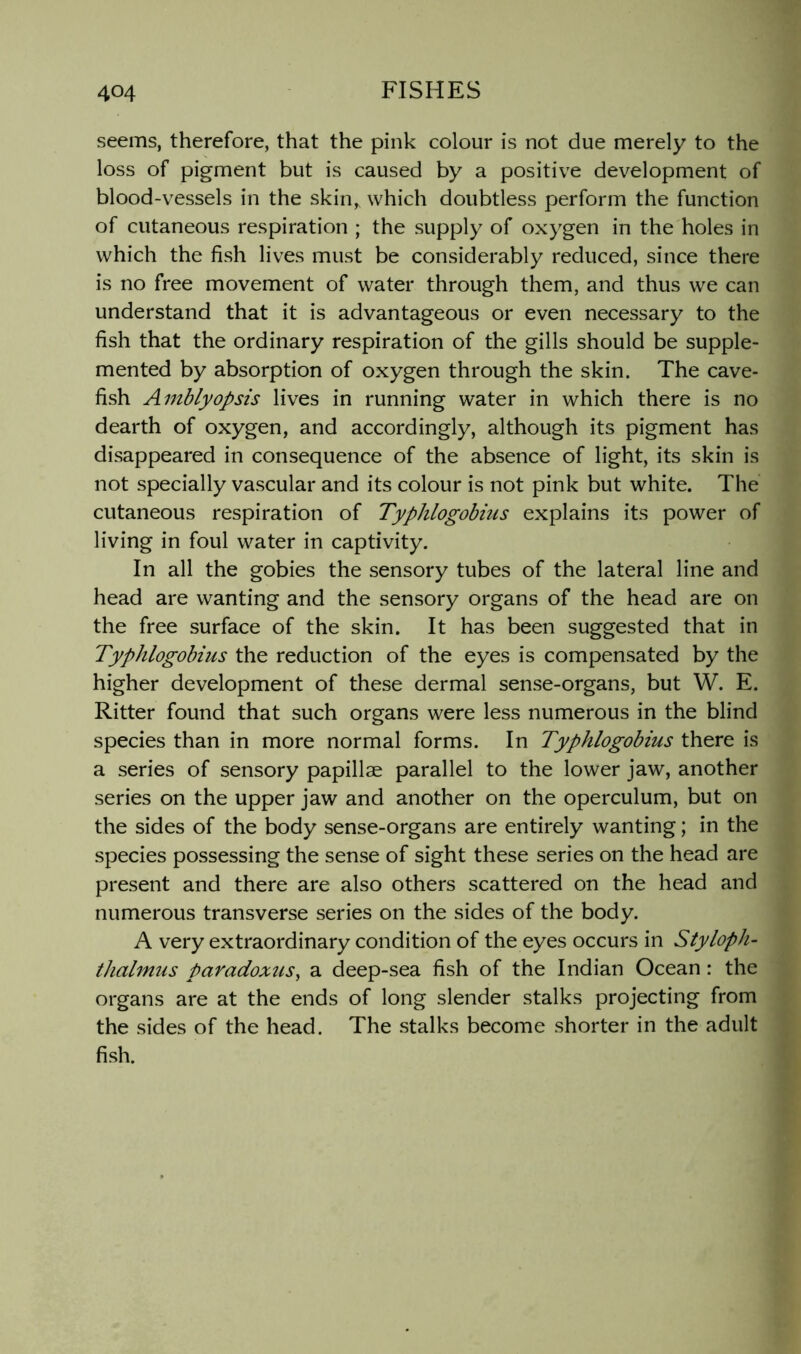 seems, therefore, that the pink colour is not due merely to the loss of pigment but is caused by a positive development of blood-vessels in the skin„ which doubtless perform the function of cutaneous respiration ; the supply of oxygen in the holes in which the fish lives must be considerably reduced, since there is no free movement of water through them, and thus we can understand that it is advantageous or even necessary to the fish that the ordinary respiration of the gills should be supple- mented by absorption of oxygen through the skin. The cave- fish Amblyopsis lives in running water in which there is no dearth of oxygen, and accordingly, although its pigment has disappeared in consequence of the absence of light, its skin is not specially vascular and its colour is not pink but white. The cutaneous respiration of Typhlogobius explains its power of living in foul water in captivity. In all the gobies the sensory tubes of the lateral line and head are wanting and the sensory organs of the head are on the free surface of the skin. It has been suggested that in Typhlogobius the reduction of the eyes is compensated by the higher development of these dermal sense-organs, but W. E. Ritter found that such organs were less numerous in the blind species than in more normal forms. In Typhlogobius there is a series of sensory papillae parallel to the lower jaw, another series on the upper jaw and another on the operculum, but on the sides of the body sense-organs are entirely wanting; in the species possessing the sense of sight these series on the head are present and there are also others scattered on the head and numerous transverse series on the sides of the body. A very extraordinary condition of the eyes occurs in Styloph- thahmis paradoxus^ a deep-sea fish of the Indian Ocean: the organs are at the ends of long slender stalks projecting from the sides of the head. The stalks become shorter in the adult fish.
