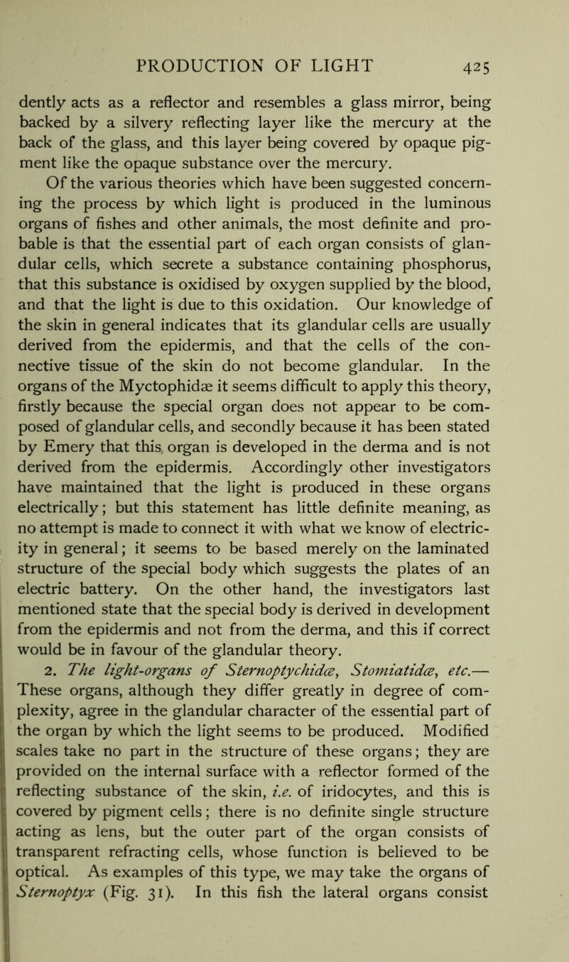 dently acts as a reflector and resembles a glass mirror, being backed by a silvery reflecting layer like the mercury at the back of the glass, and this layer being covered by opaque pig- ment like the opaque substance over the mercury. Of the various theories which have been suggested concern- ing the process by which light is produced in the luminous organs of fishes and other animals, the most definite and pro- bable is that the essential part of each organ consists of glan- dular cells, which secrete a substance containing phosphorus, that this substance is oxidised by oxygen supplied by the blood, and that the light is due to this oxidation. Our knowledge of the skin in general indicates that its glandular cells are usually derived from the epidermis, and that the cells of the con- nective tissue of the skin do not become glandular. In the organs of the Myctophidae it seems difficult to apply this theory, firstly because the special organ does not appear to be com- posed of glandular cells, and secondly because it has been stated by Emery that this organ is developed in the derma and is not derived from the epidermis. Accordingly other investigators have maintained that the light is produced in these organs electrically; but this statement has little definite meaning, as no attempt is made to connect it with what we know of electric- ity in general; it seems to be based merely on the laminated structure of the special body which suggests the plates of an electric battery. On the other hand, the investigators last mentioned state that the special body is derived in development from the epidermis and not from the derma, and this if correct would be in favour of the glandular theory. 2. The light-organs of Sternoptychidce, Stomiatidce^ etc.— These organs, although they differ greatly in degree of com- plexity, agree in the glandular character of the essential part of the organ by which the light seems to be produced. Modified scales take no part in the structure of these organs; they are provided on the internal surface with a reflector formed of the reflecting substance of the skin, i.e. of iridocytes, and this is covered by pigment cells; there is no definite single structure acting as lens, but the outer part of the organ consists of transparent refracting cells, whose function is believed to be optical. As examples of this type, we may take the organs of Sternoptyx (Fig. 31). In this fish the lateral organs consist