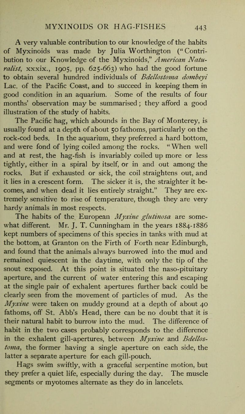 A very valuable contribution to our knowledge of the habits of Myxinoids was made by Julia Worthington (“Contri- bution to our Knowledge of the Myxinoids,” American Natu- ralist^ xxxix., 1905, pp. 625-663) who had the good fortune to obtain several hundred individuals of Bdellostoma dombeyi Lac. of the Pacific Coast, and to succeed in keeping them in good condition in an aquarium. Some of the results of four months’ observation may be summarised; they afford a good illustration of the study of habits. The Pacific hag, which abounds in the Bay of Monterey, is usually found at a depth of about 50 fathoms, particularly on the rock-cod beds. In the aquarium, they preferred a hard bottom, and were fond of lying coiled among the rocks. “ When well and at rest, the hag-fish is invariably coiled up more or less tightly, either in a spiral by itself, or in and out among the rocks. But if exhausted or sick, the coil straightens out, and it lies in a crescent form. The sicker it is, the straighter it be- comes, and when dead it lies entirely straight.” They are ex- tremely sensitive to rise of temperature, though they are very hardy animals in most respects. The habits of the European Myxine glutinosa are some- what different. Mr. J. T. Cunningham in the years 1884-1886 kept numbers of specimens of this species in tanks with mud at the bottom, at Granton on the Firth of Forth near Edinburgh, and found that the animals always burrowed into the mud and remained quiescent in the daytime, with only the tip of the snout exposed. At this point is situated the naso-pituitary aperture, and the current of water entering this and escaping at the single pair of exhalent apertures further back could be clearly seen from the movement of particles of mud. As the Myxine were taken on muddy ground at a depth of about 40 fathoms, off St. Abb’s Head, there can be no doubt that it is their natural habit to burrow into the mud. The difference of habit in the two cases probably corresponds to the difference in the exhalent gill-apertures, between Myxine and Bdellos- toma^ the former having a single aperture on each side, the latter a separate aperture for each gill-pouch. Hags swim swiftly, with a graceful serpentine motion, but they prefer a quiet life, especially during the day. The muscle segments or myotomes alternate as they do in lancelets.