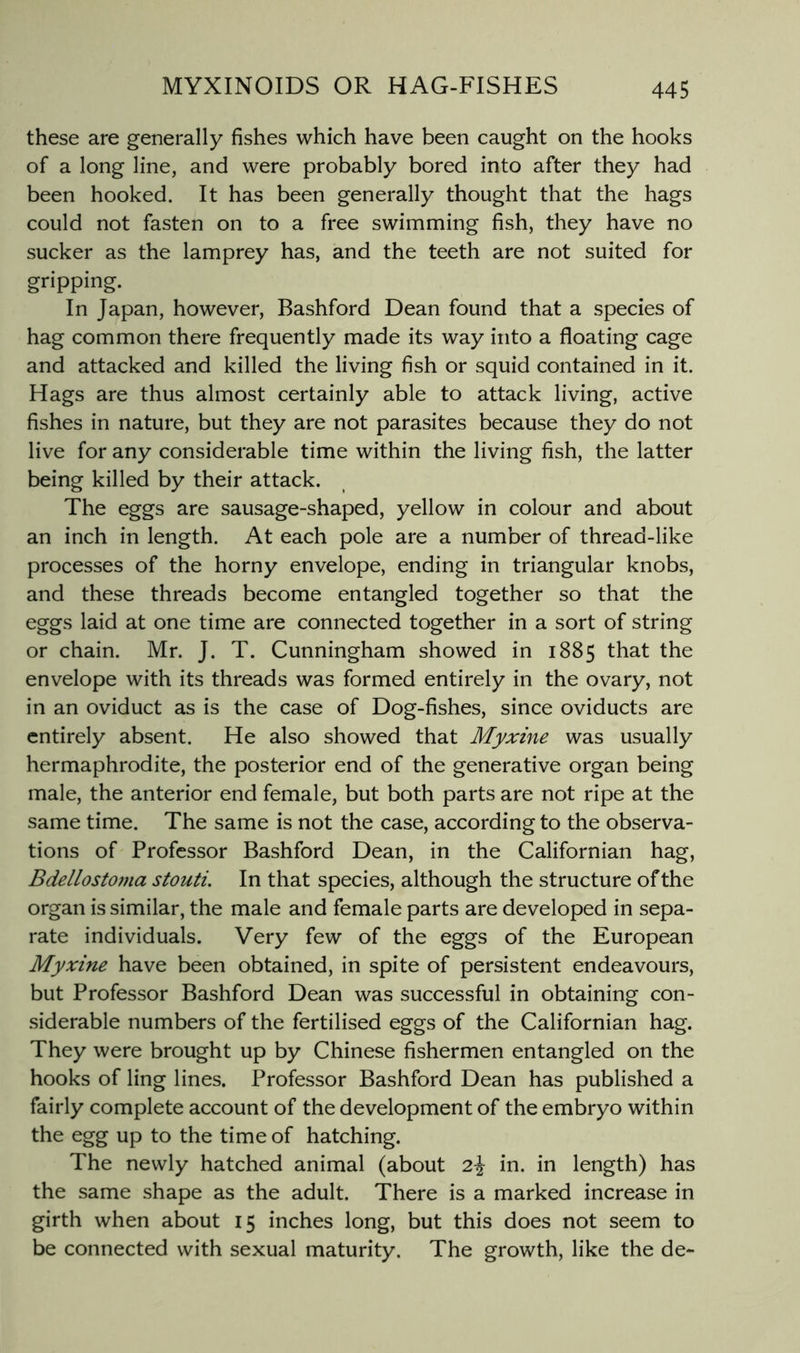 these are generally fishes which have been caught on the hooks of a long line, and were probably bored into after they had been hooked. It has been generally thought that the hags could not fasten on to a free swimming fish, they have no sucker as the lamprey has, and the teeth are not suited for gripping. In Japan, however, Bashford Dean found that a species of hag common there frequently made its way into a floating cage and attacked and killed the living fish or squid contained in it. Hags are thus almost certainly able to attack living, active fishes in nature, but they are not parasites because they do not live for any considerable time within the living fish, the latter being killed by their attack. The eggs are sausage-shaped, yellow in colour and about an inch in length. At each pole are a number of thread-like processes of the horny envelope, ending in triangular knobs, and these threads become entangled together so that the eggs laid at one time are connected together in a sort of string or chain. Mr. J. T. Cunningham showed in 1885 that the envelope with its threads was formed entirely in the ovary, not in an oviduct as is the case of Dog-fishes, since oviducts are entirely absent. He also showed that Myxine was usually hermaphrodite, the posterior end of the generative organ being male, the anterior end female, but both parts are not ripe at the same time. The same is not the case, according to the observa- tions of Professor Bashford Dean, in the Californian hag, Bdellostoma stouti. In that species, although the structure of the organ is similar, the male and female parts are developed in sepa- rate individuals. Very few of the eggs of the European Myxine have been obtained, in spite of persistent endeavours, but Professor Bashford Dean was successful in obtaining con- siderable numbers of the fertilised eggs of the Californian hag. They were brought up by Chinese fishermen entangled on the hooks of ling lines. Professor Bashford Dean has published a fairly complete account of the development of the embryo within the egg up to the time of hatching. The newly hatched animal (about 2\ in. in length) has the same shape as the adult. There is a marked increase in girth when about 15 inches long, but this does not seem to be connected with sexual maturity. The growth, like the de-