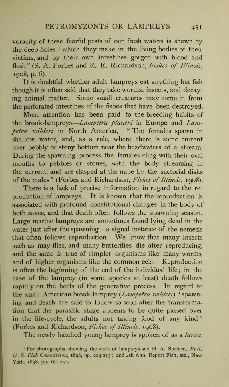 voracity of these fearful pests of our fresh waters is shown by the deep holes ^ which they make in the living bodies of their victims, and by their own intestines gorged with blood and flesh” (S. A. Forbes and R. E. Richardson, Fishes of Illinois, 1908, p. 6). It is doubtful whether adult lampreys eat anything but fish though it is often said that they take worms, insects, and decay- ing animal matter. Some small creatures may come in from the perforated intestines of the fishes that have been destroyed. Most attention has been paid to the breeding habits of the brook-lampreys—Lampetra planeri in Europe and Lam- peti'a wilderi in North America, “ The females spawn in shallow water, and, as a rule, where there is some current over pebbly or stony bottom near the headwaters of a stream. During the spawning process the females cling with their oval mouths to pebbles or stones, with the body streaming in the current, and are clasped at the nape by the suctorial disks of the males” (Forbes and Richardson, Fishes of Illinois, 1908). There is a lack of precise information in regard to the re- production of lampreys. It is known that the reproduction is associated with profound constitutional changes in the body of both sexes, and that death often follows the spawning season. Large marine lampreys are sometimes found lying dead in the water just after the spawning—a signal instance of the nemesis that often follows reproduction. We know that many insects such as may-flies, and many butterflies die after reproducing, and the same is true of simpler organisms like many worms, and of higher organisms like the common eels. Reproduction is often the beginning of the end of the individual life; in the case of the lamprey (in some species at least) death follows rapidly on the heels of the generative process. In regard to the small American brook-lamprey (^Lampetra wilderi) “ spawn- ing and death are said to follow so soon after the transforma- tion that the parasitic stage appears to be quite passed over in the life-cycle, the adults not taking food of any kind ” (Forbes and Richardson, Fishes of Illinois, 1908). The newly hatched young lamprey is spoken of as a larva, 1 For photographs showing the work of lampreys see H. A. Surface, Bull. U. S. Fish Commission, 1898, pp. 209-215 ; and 4th Ann. Report Fish, etc.. New York, 1898, pp. 191-245-