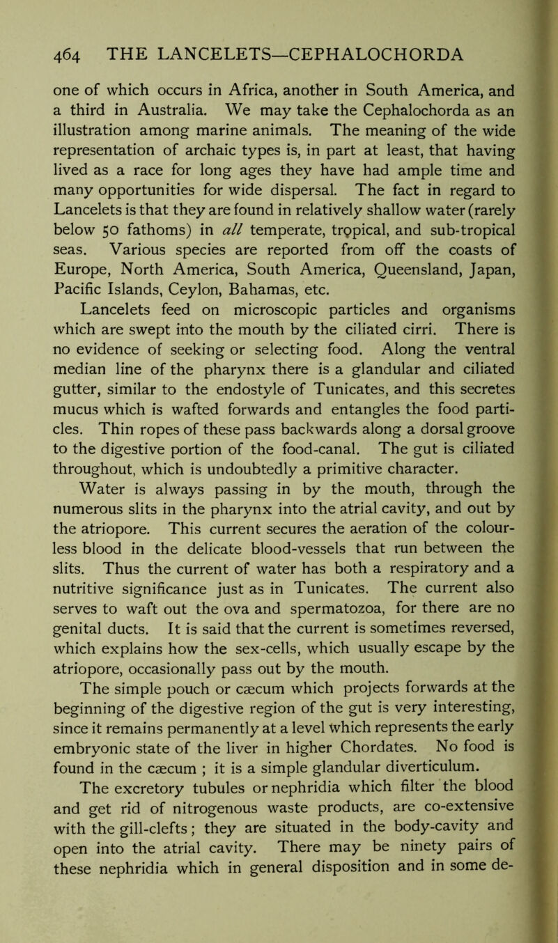 one of which occurs in Africa, another in South America, and a third in Australia. We may take the Cephalochorda as an illustration among marine animals. The meaning of the wide representation of archaic types is, in part at least, that having lived as a race for long ages they have had ample time and many opportunities for wide dispersal. The fact in regard to Lancelots is that they are found in relatively shallow water (rarely below 50 fathoms) in all temperate, trppical, and sub-tropical seas. Various species are reported from off the coasts of Europe, North America, South America, Queensland, Japan, Pacific Islands, Ceylon, Bahamas, etc. Lancelots feed on microscopic particles and organisms which are swept into the mouth by the ciliated cirri. There is no evidence of seeking or selecting food. Along the ventral median line of the pharynx there is a glandular and ciliated gutter, similar to the endostyle of Tunicates, and this secretes mucus which is wafted forwards and entangles the food parti- cles. Thin ropes of these pass backwards along a dorsal groove to the digestive portion of the food-canal. The gut is ciliated throughout, which is undoubtedly a primitive character. Water is always passing in by the mouth, through the numerous slits in the pharynx into the atrial cavity, and out by the atriopore. This current secures the aeration of the colour- less blood in the delicate blood-vessels that run between the slits. Thus the current of water has both a respiratory and a nutritive significance just as in Tunicates. The current also serves to waft out the ova and spermatozoa, for there are no genital ducts. It is said that the current is sometimes reversed, which explains how the sex-cells, which usually escape by the atriopore, occasionally pass out by the mouth. The simple pouch or caecum which projects forwards at the beginning of the digestive region of the gut is very interesting, since it remains permanently at a level which represents the early embryonic state of the liver in higher Chordates. No food is found in the caecum ; it is a simple glandular diverticulum. The excretory tubules or nephridia which filter the blood and get rid of nitrogenous waste products, are co-extensive with the gill-clefts; they are situated in the body-cavity and open into the atrial cavity. There may be ninety pairs of these nephridia which in general disposition and in some de-
