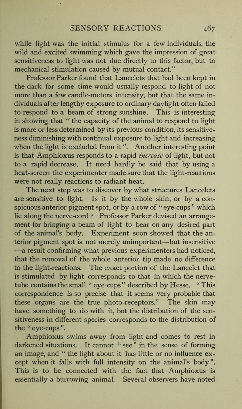 while light was the initial stimulus for a few individuals, the wild and excited swimming which gave the impression of great sensitiveness to light was not due directly to this factor, but to mechanical stimulation caused by mutual contact.” Professor Parker found that Lancelots that had been kept in the dark for some time would usually respond to light of not more than a few candle-meters intensity, but that the same in- dividuals after lengthy exposure to ordinary daylight often failed to respond to a beam of strong sunshine. This is interesting in showing that “ the capacity of the animal to respond to light is more or less determined by its previous condition, its sensitive- ness diminishing with continual exposure to light and increasing when the light is excluded from it Another interesting point is that Amphioxus responds to a rapid increase of light, but not to a rapid decrease. It need hardly be said that by using a heat-screen the experimenter made sure that the light-reactions were not really reactions to radiant heat. The next step was to discover by what structures Lancelets are sensitive to light. Is it by the whole skin, or by a con- spicuous anterior pigment spot, or by a row of “ eye-cups ’’ which lie along the nerve-cord ? Professor Parker devised an arrange- ment for bringing a beam of light to bear on any desired part of the animal’s body. Experiment soon showed that the an- terior pigment spot is not merely unimportant—but insensitive —a result confirming what previous experimenters had noticed, that the removal of the whole anterior tip made no difference to the light-reactions. The exact portion of the Lancelet that is stimulated by light corresponds to that in which the nerve- tube contains the small “ eye-cups” described by Hesse. “ This correspondence is so precise that it seems very probable that these organs are the true photo-receptors.” The skin may have something to do with it, but the distribution of the sen- sitiveness in different species corresponds to the distribution of the “ eye-cups ”. Amphioxus swims away from light and comes to rest in darkened situations. It cannot “see” in the sense of forming an image, and “ the light about it has little or no influence ex- cept when it falls with full intensity on the animal’s body”. This is to be connected with the fact that Amphioxus is essentially a burrowing animal. Several observers have noted