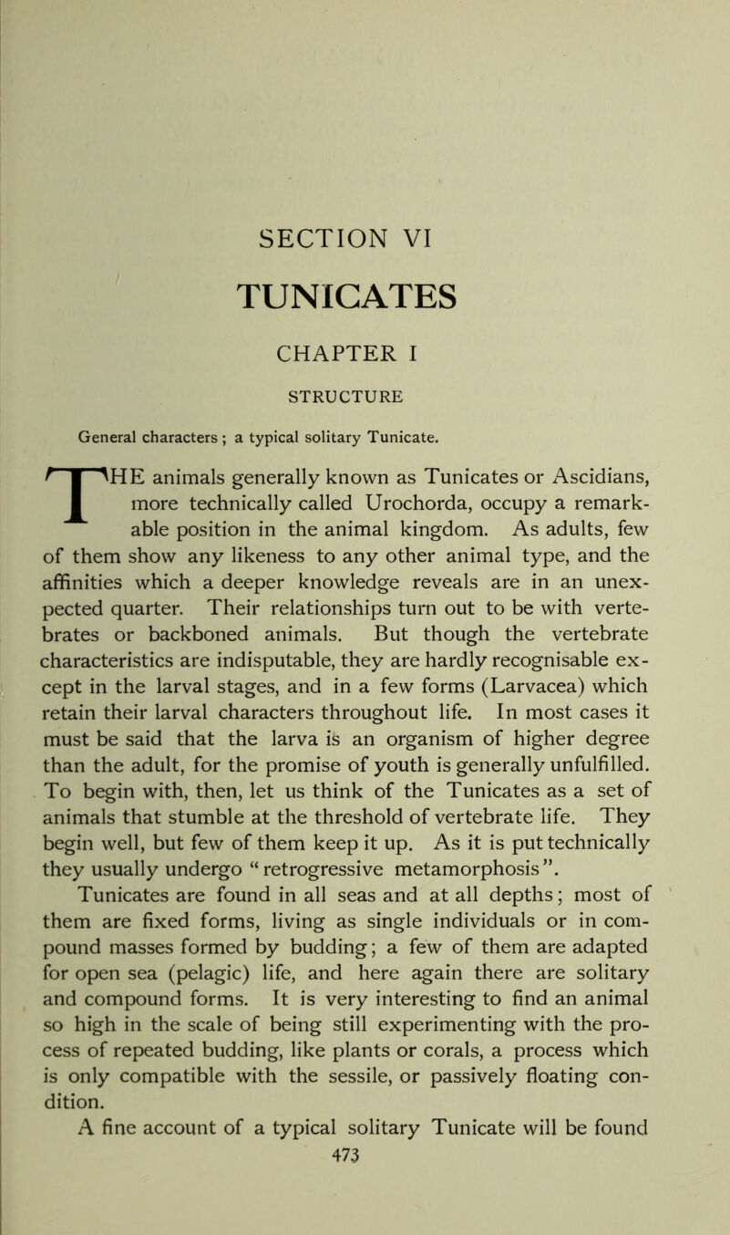SECTION VI TUNIGATES CHAPTER I STRUCTURE General characters ; a typical solitary Tunicate. The animals generally known as Tunicates or Ascidians, more technically called Urochorda, occupy a remark- able position in the animal kingdom. As adults, few of them show any likeness to any other animal type, and the affinities which a deeper knowledge reveals are in an unex- pected quarter. Their relationships turn out to be with verte- brates or backboned animals. But though the vertebrate characteristics are indisputable, they are hardly recognisable ex- cept in the larval stages, and in a few forms (Larvacea) which retain their larval characters throughout life. In most cases it must be said that the larva is an organism of higher degree than the adult, for the promise of youth is generally unfulfilled. To begin with, then, let us think of the Tunicates as a set of animals that stumble at the threshold of vertebrate life. They begin well, but few of them keep it up. As it is put technically they usually undergo “retrogressive metamorphosis”. Tunicates are found in all seas and at all depths; most of them are fixed forms, living as single individuals or in com- pound masses formed by budding; a few of them are adapted for open sea (pelagic) life, and here again there are solitary and compound forms. It is very interesting to find an animal so high in the scale of being still experimenting with the pro- cess of repeated budding, like plants or corals, a process which is only compatible with the sessile, or passively floating con- dition. A fine account of a typical solitary Tunicate will be found
