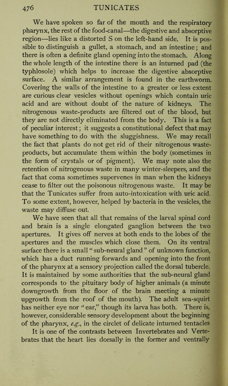 We have spoken so far of the mouth and the respiratory pharynx, the rest of the food-canal—the digestive and absorptive region—lies like a distorted S on the left-hand side. It is pos- sible to distinguish a gullet, a stomach, and an intestine; and there is often a definite gland opening into the stomach. Along the whole length of the intestine there is an inturned pad (the typhlosole) which helps to increase the digestive absorptive surface. A similar arrangement is found in the earthworm. Covering the walls of the intestine to a greater or less extent are curious clear vesicles without openings which contain uric acid and are without doubt of the nature of kidneys. The nitrogenous waste-products are filtered out of the blood, but they are not directly eliminated from the body. This is a fact of peculiar interest; it suggests a constitutional defect that may have something to do with the sluggishness. We may recall the fact that plants do not get rid of their nitrogenous waste- products, but accumulate them within the body (sometimes in the form of crystals or of pigment). We may note also the retention of nitrogenous waste in many winter-sleepers, and the fact that coma sometimes supervenes in man when the kidneys cease to filter out the poisonous nitrogenous waste. It may be that the Tunicates suffer from auto-intoxication with uric acid. To some extent, however, helped by bacteria in the vesicles, the waste may diffuse out. We have seen that all that remains of the larval spinal cord and brain is a single elongated ganglion between the two apertures. It gives off nerves at both ends to the lobes of the apertures and the muscles which close them. On its ventral surface there is a small “ sub-neural gland ” of unknown function, which has a duct running forwards and opening into the front of the pharynx at a sensory projection called the dorsal tubercle. It is maintained by some authorities that the sub-neural gland corresponds to the pituitary body of higher animals (a minute downgrowth from the floor of the brain meeting a minute upgrowth from the roof of the mouth). The adult sea-squirt has neither eye nor “ ear,” though its larva has both. There is, however, considerable sensory development about the beginning of the pharynx, e.g.^ in the circlet of delicate inturned tentacles It is one of the contrasts between Invertebrates and Verte- brates that the heart lies dorsally in the former and ventrally