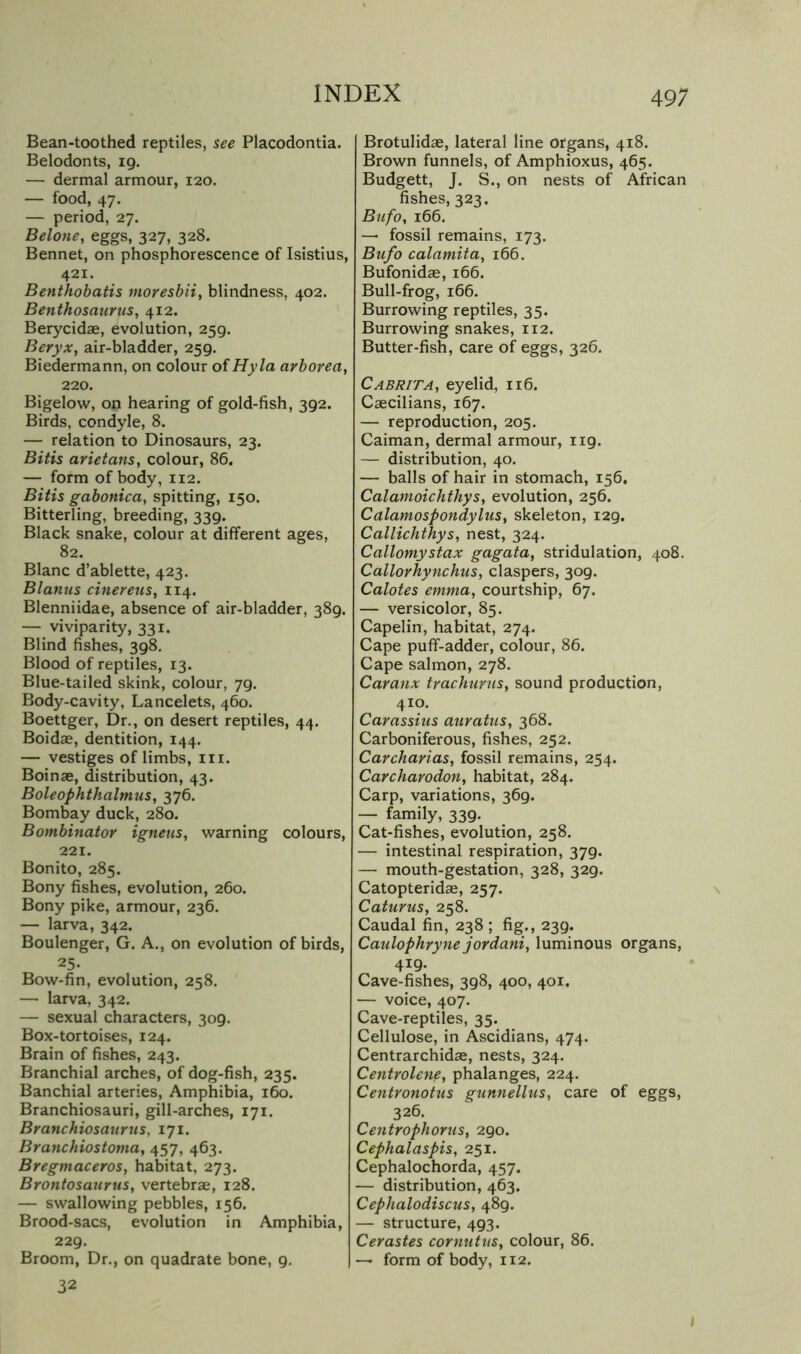 Bean-toothed reptiles, ^ee Placodontia. Belodonts, 19. — dermal armour, 120. — food, 47. — period, 27. Belone, eggs, 327, 328. Bennet, on phosphorescence of Isistius, 421. Benthobatis moresbii, blindness, 402. Benthosaurus, 412. Berycidae, evolution, 259. Beryx, air-bladder, 259. Biedermann, on colour of Hyla arborea, 220. Bigelow, on hearing of gold-fish, 392. Birds, condyle, 8. — relation to Dinosaurs, 23. Bitis arietans, colour, 86. — form of body, 112. Bitis gabonica, spitting, 150, Bitterling, breeding, 339. Black snake, colour at different ages, 82. Blanc d’ablette, 423. Blanus cinereus, 114. Blenniidae, absence of air-bladder, 389. — viviparity, 331. Blind fishes, 398. Blood of reptiles, 13. Blue-tailed skink, colour, 79. Body-cavity, Lancelots, 460. Boettger, Dr., on desert reptiles, 44. Boidae, dentition, 144. — vestiges of limbs, in. Boinae, distribution, 43. Boleophthalmus, 376. Bombay duck, 280. Bombinator igneus, warning colours, 221. Bonito, 285. Bony fishes, evolution, 260. Bony pike, armour, 236. — larva, 342. Boulenger, G. A., on evolution of birds, 25. Bow-fin, evolution, 258. — larva, 342. — sexual characters, 309. Box-tortoises, 124. Brain of fishes, 243. Branchial arches, of dog-fish, 235. Banchial arteries. Amphibia, 160. Branchiosauri, gill-arches, 171. Branchiosaurtis, 171. Branchiostoma, 457, 463. Bregmaceros, habitat, 273. Brontosaurus^ vertebrae, 128. — swallowing pebbles, 156. Brood-sacs, evolution in Amphibia, 229. 32 Brotulidae, lateral line organs, 418. Brown funnels, of Amphioxus, 465. Budgett, J. S., on nests of African fishes, 323. Bufo^ 166. — fossil remains, 173. Bufo calamita, 166. Bufonidae, 166. Bull-frog, 166. Burrowing reptiles, 35. Burrowing snakes, 112. Butter-fish, care of eggs, 326. Cabrita^ eyelid, 116. Caecilians, 167. — reproduction, 205. Caiman, dermal armour, 119. — distribution, 40. — balls of hair in stomach, 156. CalamoichthySy evolution, 256. CalamospondyluSt skeleton, 129, Callichthys, nest, 324. Callomystax gagata, stridulation, 408. Callorhynchus, claspers, 309. Calotes emma, courtship, 67. — versicolor, 85. Capelin, habitat, 274. Cape puff-adder, colour, 86. Cape salmon, 278. Caranx trachurus, sound production, 410. Carassius auratus, 368. Carboniferous, fishes, 252. Carcharias, fossil remains, 254. Carcharodon, habitat, 284. Carp, variations, 369. — family, 339. Cat-fishes, evolution, 258. — intestinal respiration, 379. — mouth-gestation, 328, 329. Catopteridas, 257. Caturus, 258. Caudal fin, 238 ; fig., 239. Caulophryne jordani, luminous organs, 419. Cave-fishes, 398, 400, 401. — voice, 407. Cave-reptiles, 35. Cellulose, in Ascidians, 474. Centrarchidae, nests, 324. Centrolene, phalanges, 224. CentronoUis gunnellus, care of eggs, 326. Centrophorus, 290. Cephalaspis, 251. Cephalochorda, 457. — distribution, 463. Cephalodiscus, 489. — structure, 493. Cerastes cornutus^ colour, 86.