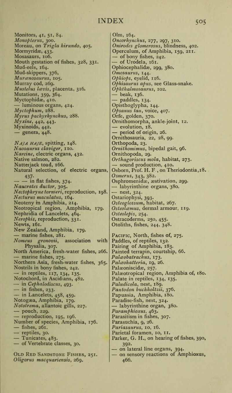 Monitors, 41, 51, 84. Monopterus, 300. Moreau, on Trigla hivundo^ 405. Mormyridas, 433. Mosasaurs, 106. Mouth gestation of fishes, 328, 331. Mud-eels, 164. Mud-skippers, 376, MiircBnosaurtis, 105. Murray cod, 269. Mustelus Icevis, placenta, 316. Mutations, 359, 364. Myctophidae, 410. — luminous organs, 424. Myctophum, 288. Myrus pachyvhynchus^ 288. Myxine, 442, 443. Myxinoids, 442. — genera, 448. Naja haje, spitting, 148. Naosauriis claviger, no. Narcitie, electric organs, 432. Native salmon, 282. Natterjack toad, 166. Natural selection, of electric organs, 437. in flat fishes, 374. Naucrates ductor, 305. Nectophryne tornievi, reproduction, 198. Necturus maculatus, 164. Neoteny rn Amphibia, 214. Neotropical region. Amphibia, 179. Nephridia of Lancelets, 464. Nerophis, reproduction, 331. Newts, 161. New Zealand, Amphibia, 179. — marine fishes, 281. Nomeus gronovii, association with Physalia, 307. North America, fresh-water fishes, 266. — marine fishes, 275. Northern Asia, fresh-water fishes, 365. Nostrils in bony fishes, 242. — in reptiles, 117, 134, 135. Notochord, in Ascidians, 482. — in Cephalodiscus, 493. — in fishes, 233. — in Lancelets, 458, 459. Notogaea, Amphibia, 179. Nototrema, allantoic gills, 227. — pouch, 229. — reproduction, 195, 196. Number of species. Amphibia, 176. — fishes, 261. — reptiles, 30, — Tunicates, 483. — of Vertebrate classes, 30. Old Red Sandstone Fishes, 251. Oligorus macquariensis, 269. ( 01m, 164. Oncorhynchus, 277, 297, 310. Onirodes glomerosus, blindness, 402. Operculum, of Amphibia, 159, 211. — of bony fishes, 242. — of Urodela, 161. Ophiocephalidae, 299, 380. Omosaurus, 144. OphiopSt eyelid, 116. Ophisaurus aptis, see Glass-snake. Ophthalmosaurus, 102. — beak, 136. — paddles, 134. Opisthoglypha, 144. Opsanns tan, voice, 407. Orfe, golden, 370. Ornithomorpha, ankle-joint, 12. — evolution, 18. — period of origin, 26. Ornithosauria, 22, 28, 99. Orthopoda, 23. Ornithomimus, bipedal gait, 96. Ornithopoda, 29. Orthagoriscus mola, habitat, 273. — sound production, 410. Osborn, Prof. H. F , on Theriodontia,i8. Osmerus, 343, 382. Osphromenidas, aestivation, 299. — labyrinthine organs, 380. — nest, 324. Ostariophysi, 393. Osteoglossiim, habitat, 267. Osteolcemus, dermal armour, 119. Osteolepis, 254. Ostracoderms, 250, 455. Otoliths, fishes, 244, 348. Pacific, North, fishes of, 275. Paddles, of reptiles, 132. Pairing of Amphibia, 183. Painted terrapin, courtship, 66. PalcBobatvachus, 173. PalcEohatteria, 19, 26. Palaeoniscidae, 257. Palaeotropical region. Amphibia of, 180. Palate in reptiles, 134, 135. Paludicola, nest, 189. Pantodon buchholtzii, 376. Papuasia, Amphibia, 180. Paradise-fish, nest, 324. — labyrinthine organ, 380. Paramphioxus, 463. Parasitism in fishes, 307. Parasuchia, 9, 26. Pariasaurus, 10, 16. Parietal foramen, 10, ii. Parker, G. H., on hearing of fishes, 390, 392. — on lateral line organs, 394. — on sensory reactions of Amphioxus, 466.