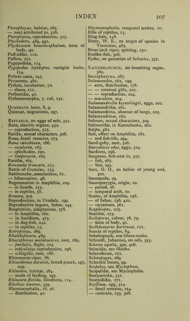 Pierophyyne, habitat, 285. — nest attributed to, 328. Pteroplatea, reproduction, 315. Ptychodera, 489, 492. Ptychozoum homolocephalum, form of body, 92. Puff-adder, 112. Puffers, 272. Pygopodidag, 114. Pygopodus lepidopus, vestigial limbs, 114. Pyloric caeca, 243. Pyrosoma, 482. Python, incubation, 72. — claws, III. Pythonidae, 42. Pythonomorpha, 7, 106, 132. Quadrate bone, 8, 9. Quinnat, migrations, 297. Raffaele, on eggs of eels, 351. Raia, electric organs, 432. — reproduction, 315. Raiidae, sexual characters, 308. Rana, fossil remains, 173. Rana catesbiana, 166. — esculenta, 165, — opisthodoHf 190. — temper aria, 165. Ranidae, 165. Ranzania truncata, 273. Rattle of Crotalus, 153. Rattlesnake, associations, 61. — hibernation, 46. Regeneration in Amphibia, 229. — in lizards, 153. — in reptiles, 58. Remora, 305. Reproduction, in Urodela, 199. Reproductive organs, fishes, 245. Respiration, adaptations, 378. — in Amphibia, 160. — in Ascidians, 475. — in dog-fish, 242. — in reptiles, 13. Retropinna, 269. Rhahdopleura, 489. Rhacophorus malabaricus, nest, 189. — pardalis, flight, 223. — reticulatus reproduction, 196. — schlegelii, nest, 188. Rhinoceros-viper, 86. Rhinoderma darwini, brood-pouch, 197, 229. Rhinodon, habitat, 284. — mode of feeding, 293. Rhineura Jlorida, blindness, 114. Rhodens amarns, 339. Rhyncocephalia, 18, 26. — distribution, 40. 507 Rhyncocephalia, temporal arches, 10. Ribs of reptiles, 13. Ring-hals, 148. Ritter, W. E., on origin of species in Tunicates, 483. River-jack viper, spitting, 150. Rudder-fish, 306. Ryder, on gestation of Sebastes, 337. Saccobranchus, air-breathing organ, 380. Saccopharynx, 287. Salamandra, 162, 199. — atra, distribution, 178. external gills, 227. reproduction, 204. — maculosa, 204. Salamandrella keyserlingii, eggs, 202. Salamandridae, 161. Salamandrina, absence of lungs, 225. Salamandrinae, 162. Salmon, sexual characters, 309. Salmonidse, in Kamtchatka, 262. Salpa, 482. Salt, effect on Amphibia, 181. — and fish-life, 294. Sand-goby, nest, 326. Sarcodaces odoe, eggs, 324. Sardines, 296. Sargasso, fish-nest in, 327. — fish, 285. — Sea, 293. Sars, G. O., on habits of young cod, 302. Sauropoda, 29. Sauropterygia, origin, 22. — period, 28. — temporal arch, 10. Scales, of Amphibia, 158. — of fishes, 236, 422. — variations, 361. Scaphiopus, 225. Scaridae, 273. Sceloporus, colour, 78, 79. — form of body, 91. Scelidosaurus harrisoni, 121. Scents of reptiles, 64. Scheltopusik, see Glass-snake. Schmidt, Johannes, on eels, 353. Scicena aqtiila, 390, 406. Scincidae, see Skinks. Sclerodermi, 272. Scleropages, 269. Sclerotic bones, 99. Scopelus, see Myctophurn. Scopelidae, see Myctophidae. Scorpaenidae, 331. Scorpididae, 271. Scyllium, egg, 314. — fossil remains, 254. — Canicula, 233, 308.