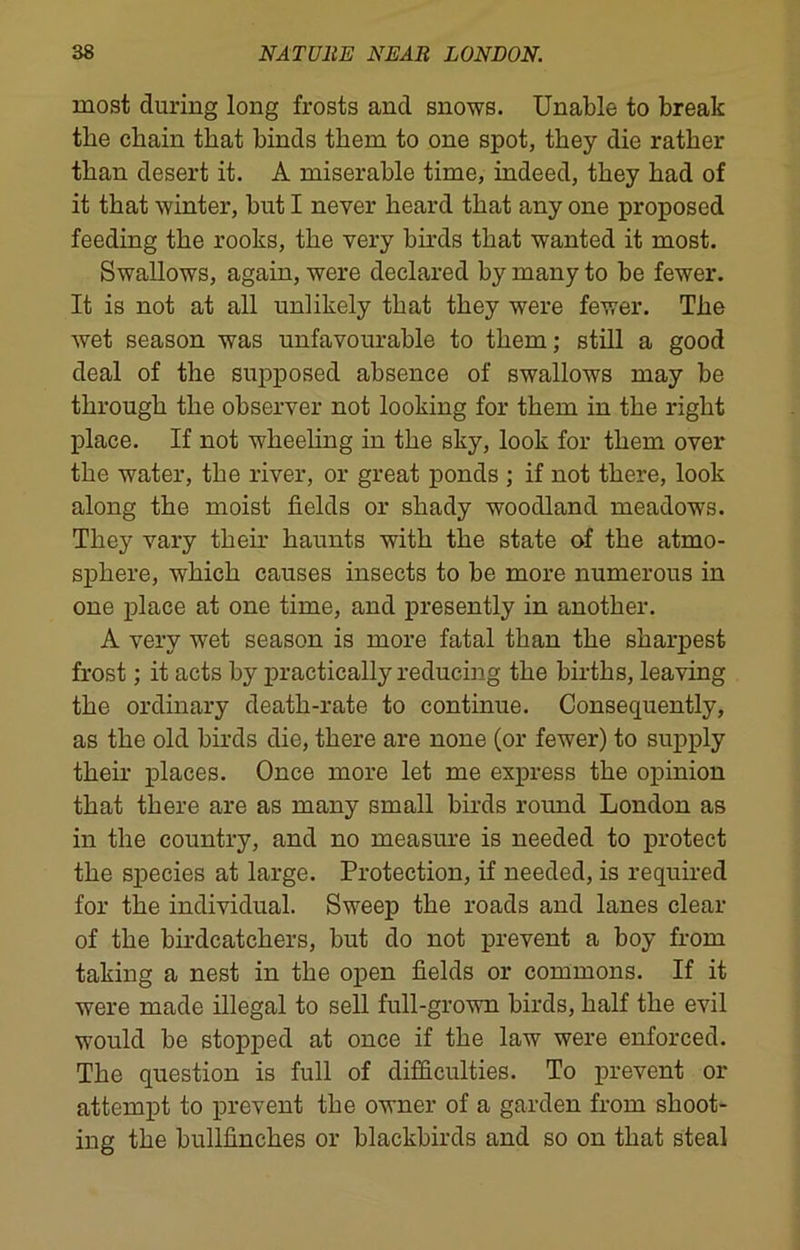 most during long frosts and snows. Unable to break the chain that binds them to one spot, they die rather than desert it. A miserable time, indeed, they had of it that winter, but I never heard that any one proposed feeding the rooks, the very birds that wanted it most. Swallows, again, were declared by many to be fewer. It is not at all unlikely that they were fewer. The wet season was unfavourable to them; still a good deal of the supposed absence of swallows may be through the observer not looking for them in the right place. If not wheeling in the sky, look for them over the water, the river, or great ponds ; if not there, look along the moist fields or shady woodland meadows. They vary their haunts with the state of the atmo- sphere, which causes insects to be more numerous in one place at one time, and presently in another. A very wet season is more fatal than the sharpest frost; it acts by practically reducing the births, leaving the ordinary death-rate to continue. Consequently, as the old birds die, there are none (or fewer) to supply their places. Once more let me express the opinion that there are as many small birds round London as in the country, and no measure is needed to protect the species at large. Protection, if needed, is required for the individual. Sweep the roads and lanes clear of the birdcatchers, but do not prevent a boy from taking a nest in the open fields or commons. If it were made illegal to sell full-grown birds, half the evil would be stopped at once if the law were enforced. The question is full of difficulties. To prevent or attempt to prevent the owner of a garden from shoot- ing the bullfinches or blackbirds and so on that steal