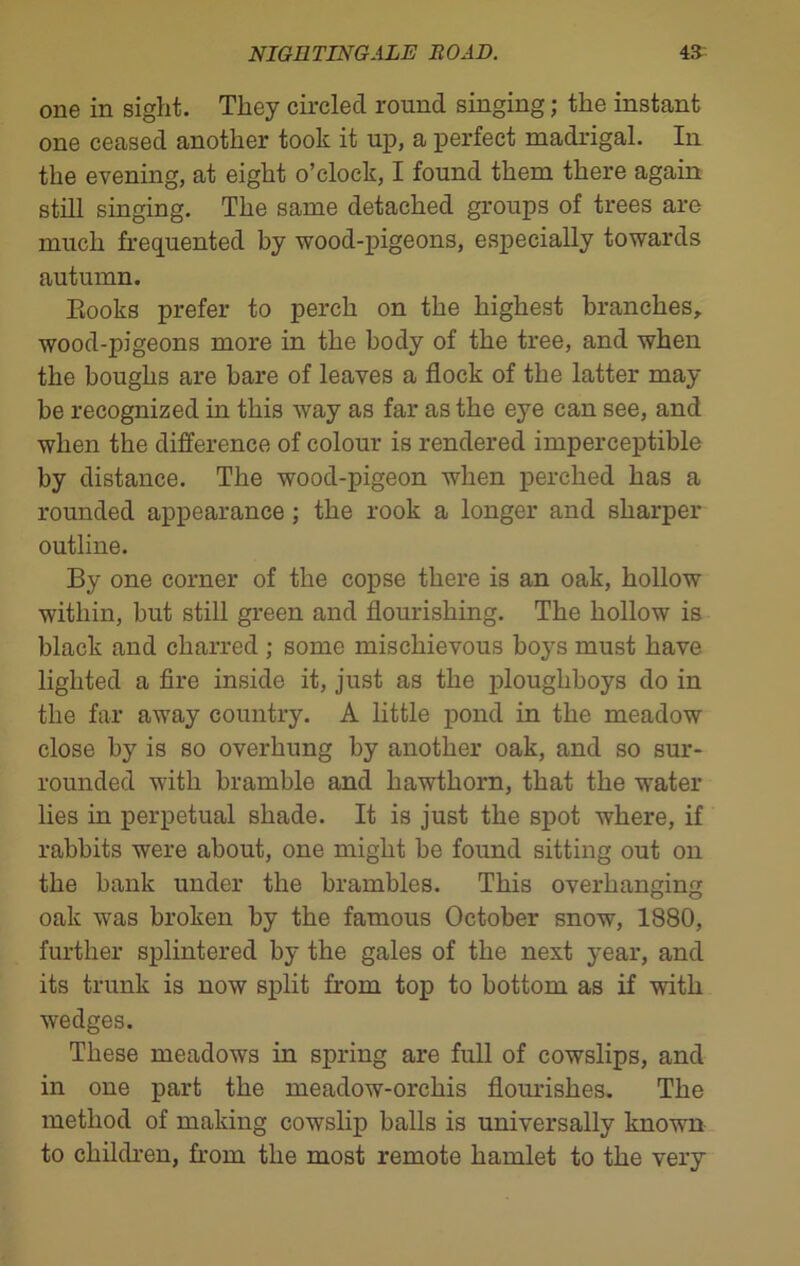 one in sight. They circled round singing; the instant one ceased another took it up, a perfect madrigal. In the evening, at eight o’clock, I found them there again still singing. The same detached groups of trees are much frequented by wood-pigeons, especially towards autumn. Eooks prefer to perch on the highest branches, wood-pigeons more in the body of the tree, and when the boughs are bare of leaves a flock of the latter may- be recognized in this way as far as the eye can see, and when the difference of colour is rendered imperceptible by distance. The wood-pigeon when perched has a rounded appearance; the rook a longer and sharper outline. By one corner of the copse there is an oak, hollow within, but still green and flourishing. The hollow is black and charred ; some mischievous boys must have lighted a fire inside it, just as the ploughboys do in the far away country. A little pond in the meadow close by is so overhung by another oak, and so sur- rounded with bramble and hawthorn, that the water lies in perpetual shade. It is just the spot where, if rabbits were about, one might be found sitting out on the bank under the brambles. This overhanging oak was broken by the famous October snow, 1880, further splintered by the gales of the next year, and its trunk is now split from top to bottom as if with wedges. These meadows in spring are full of cowslips, and in one part the meadow-orchis flourishes. The method of making cowslip balls is universally known to children, from the most remote hamlet to the very