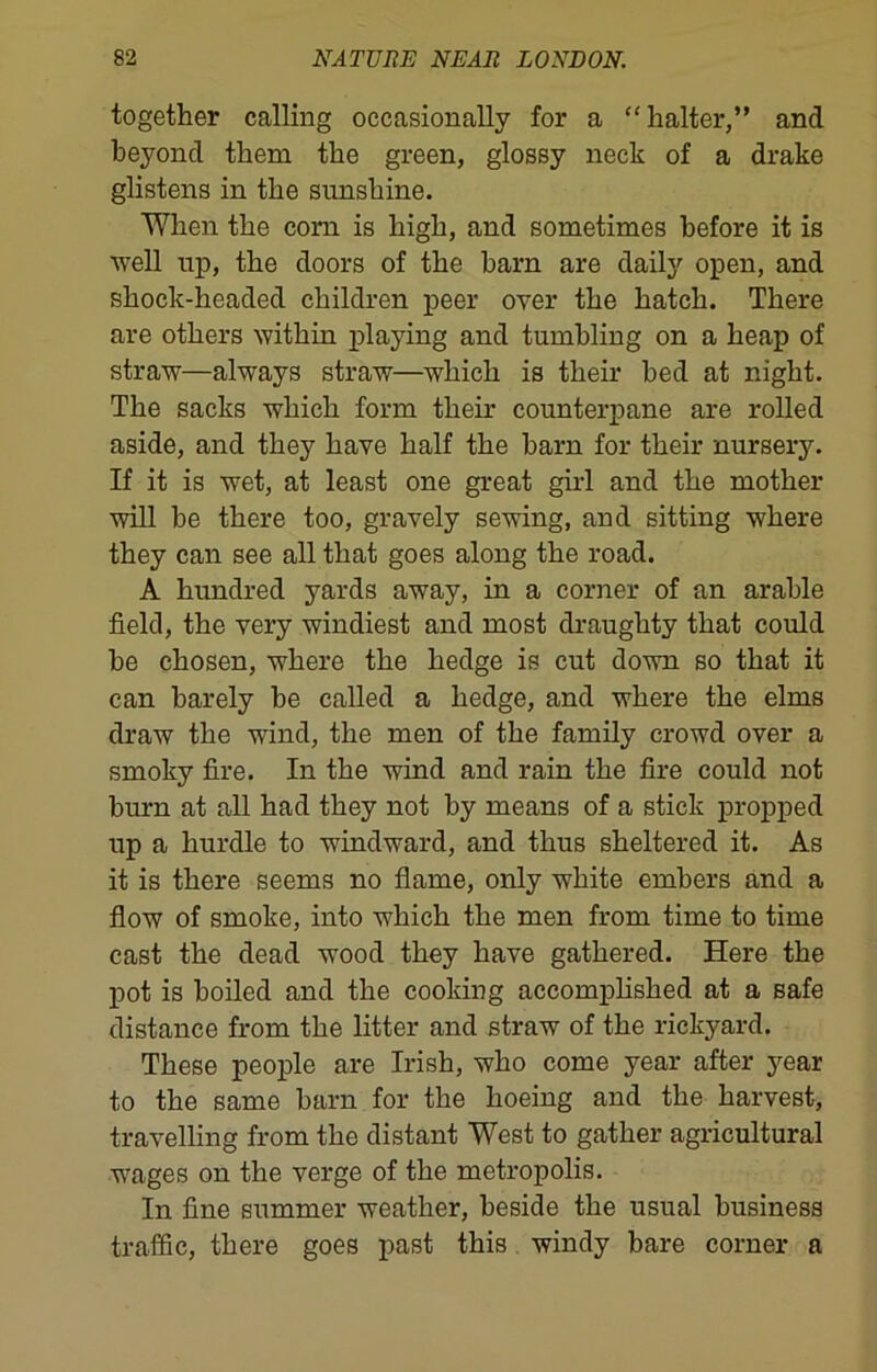 together calling occasionally for a “halter,” and beyond them the green, glossy neck of a drake glistens in the sunshine. When the corn is high, and sometimes before it is well up, the doors of the barn are daily open, and shock-headed children peer over the hatch. There are others within playing and tumbling on a heap of straw—always straw—which is their bed at night. The sacks which form their counterpane are rolled aside, and they have half the barn for their nursery. If it is wet, at least one great girl and the mother will be there too, gravely sewing, and sitting where they can see all that goes along the road. A hundred yards away, in a corner of an arable field, the very windiest and most draughty that could be chosen, where the hedge is cut down so that it can barely be called a hedge, and where the elms draw the wind, the men of the family crowd over a smoky fire. In the wind and rain the fire could not burn at all had they not by means of a stick propped up a hurdle to windward, and thus sheltered it. As it is there seems no flame, only white embers and a flow of smoke, into which the men from time to time cast the dead wood they have gathered. Here the pot is boiled and the cooking accomplished at a Bafe distance from the litter and straw of the rickyard. These people are Irish, who come year after year to the same barn for the hoeing and the harvest, travelling from the distant West to gather agricultural wages on the verge of the metropolis. In fine summer weather, beside the usual business traffic, there goes past this windy bare corner a