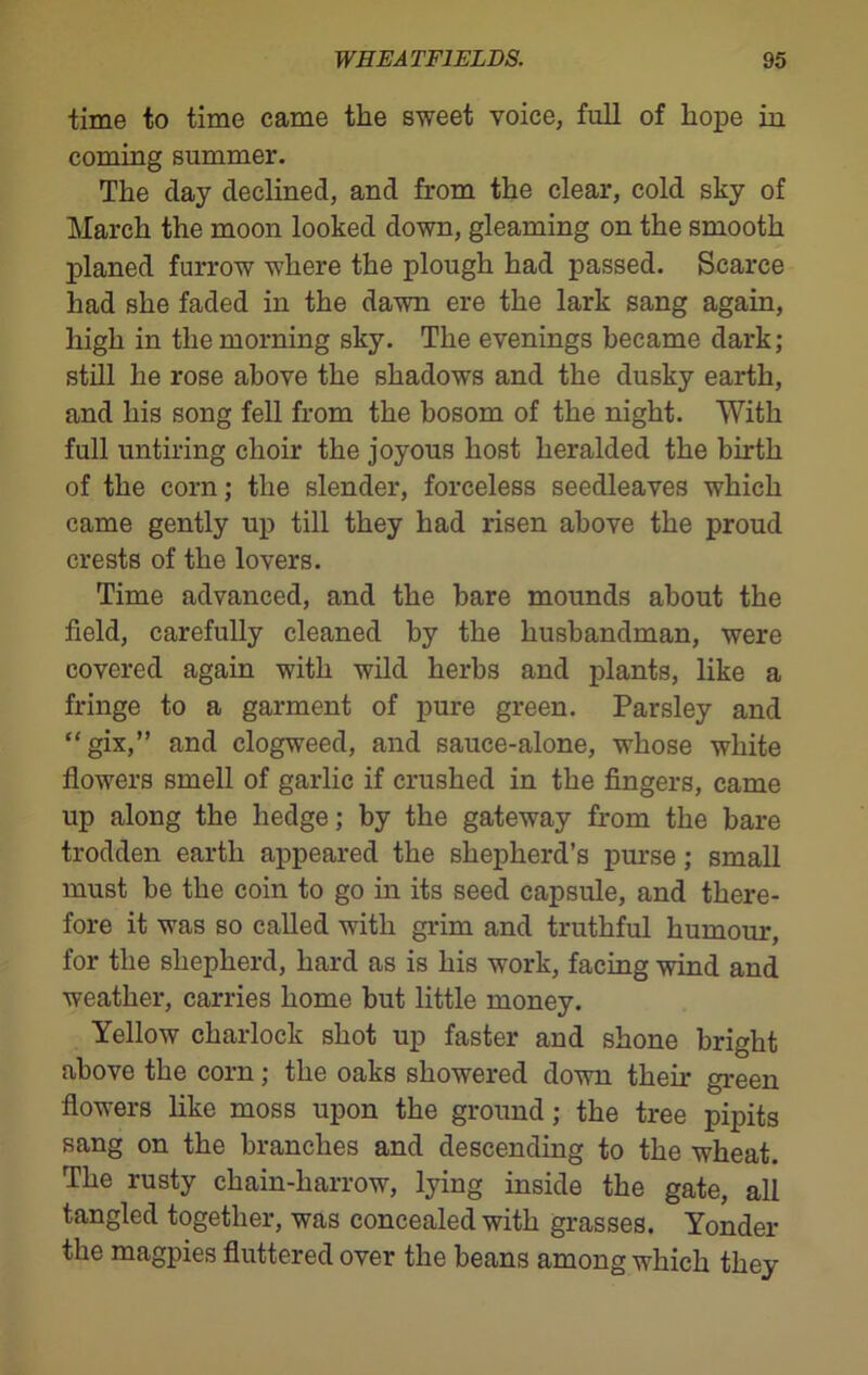 time to time came the sweet voice, full of hope in coming summer. The clay declined, and from the clear, cold sky of March the moon looked down, gleaming on the smooth planed furrow where the plough had passed. Scarce had she faded in the dawn ere the lark sang again, high in the morning sky. The evenings became dark; still he rose above the shadows and the dusky earth, and his song fell from the bosom of the night. With full untiring choir the joyous host heralded the birth of the corn; the slender, forceless seedleaves which came gently up till they had risen above the proud crests of the lovers. Time advanced, and the bare mounds about the field, carefully cleaned by the husbandman, were covered again with wild herbs and plants, like a fringe to a garment of pure green. Parsley and “gix,” and clogweed, and sauce-alone, whose white flowers smell of garlic if crushed in the fingers, came up along the hedge; by the gateway from the bare trodden earth appeared the shepherd’s purse; small must be the coin to go in its seed capsule, and there- fore it wTas so called with grim and truthful humour, for the shepherd, hard as is his work, facing wind and weather, carries home but little money. Yellow charlock shot up faster and shone bright above the corn; the oaks showered down their green flowers like moss upon the ground; the tree pipits sang on the branches and descending to the wheat. The rusty chain-harrow, lying inside the gate, all tangled together, was concealed with grasses. Yonder the magpies fluttered over the beans among which they