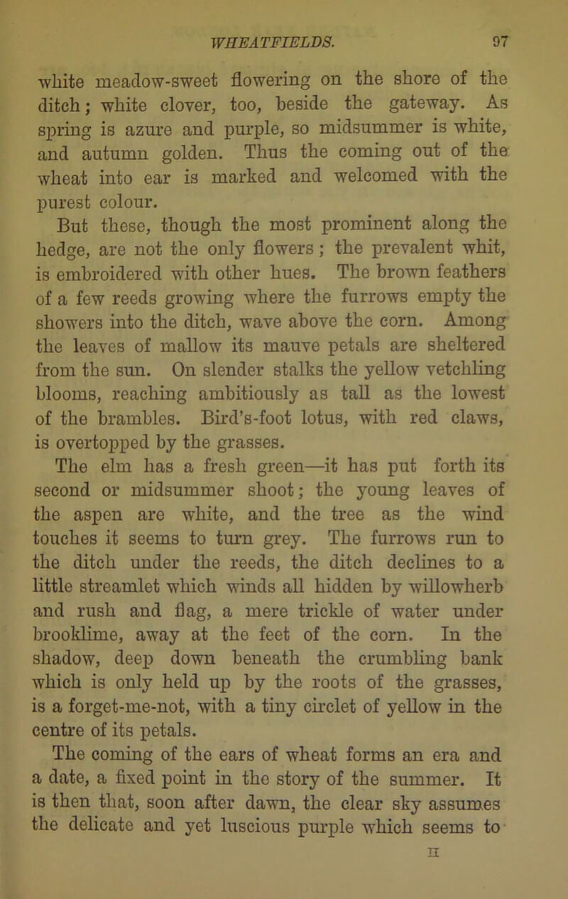 white meadow-sweet flowering on the shore of the ditch; white clover, too, beside the gateway. As spring is azure and purple, so midsummer is white, and autumn golden. Thus the coming out of the wheat into ear is marked and welcomed with the purest colour. But these, though the most prominent along the hedge, are not the only flowers; the prevalent whit, is embroidered with other hues. The brown feathers of a few reeds growing where the furrows empty the showers into the ditch, wave above the corn. Among the leaves of mallow its mauve petals are sheltered from the sun. On slender stalks the yellow vetchling blooms, reaching ambitiously as tall as the lowest of the brambles. Bird’s-foot lotus, with red claws, is overtopped by the grasses. The elm has a fresh green—it has put forth its second or midsummer shoot; the young leaves of the aspen are wTtite, and the tree as the wind touches it seems to turn grey. The furrows run to the ditch under the reeds, the ditch declines to a little streamlet which winds all hidden by willowherb and rush and flag, a mere trickle of water under brooklime, away at the feet of the corn. In the shadow, deep down beneath the crumbling bank which is only held up by the roots of the grasses, is a forget-me-not, with a tiny circlet of yellow in the centre of its petals. The coming of the ears of wheat forms an era and a date, a fixed point in the story of the summer. It is then that, soon after dawn, the clear sky assumes the delicate and yet luscious purple which seems to n