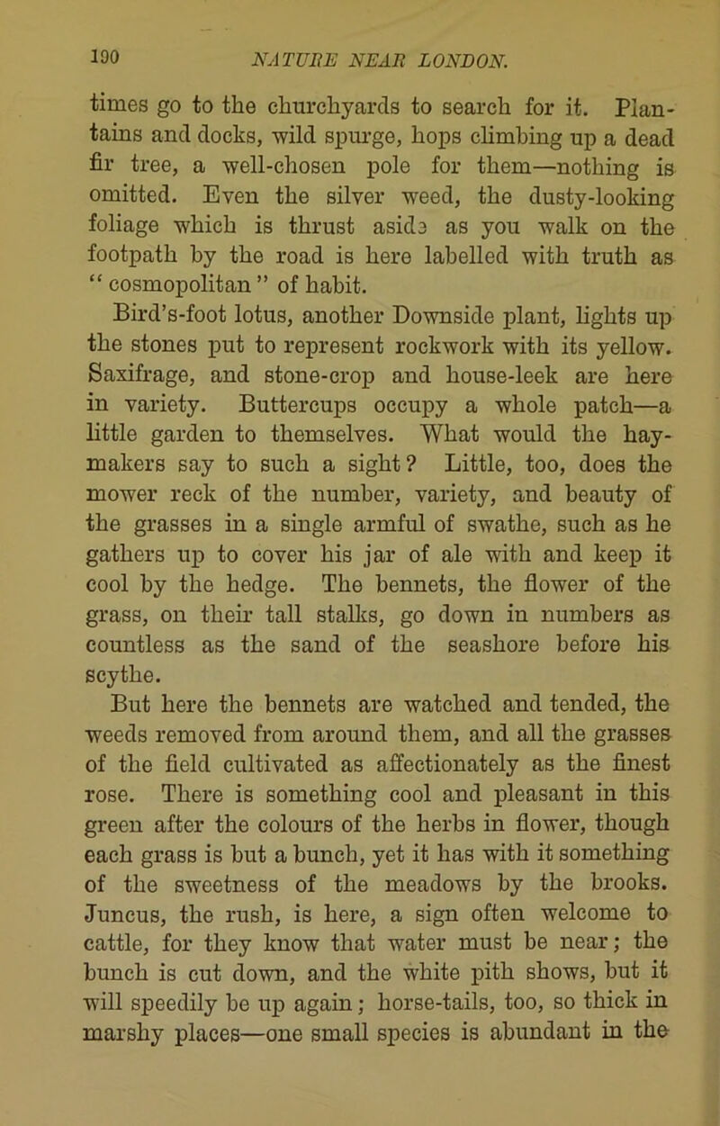 times go to the churchyards to search for it. Plan- tains and docks, wild spurge, hops climbing up a dead fir tree, a well-chosen pole for them—nothing is omitted. Even the silver weed, the dusty-looking foliage which is thrust aside as you walk on the footpath by the road is here labelled with truth as “ cosmopolitan ” of habit. Bird’s-foot lotus, another Downside plant, lights up the stones put to represent rockwork with its yellow. Saxifrage, and stone-crop and house-leek are here in variety. Buttercups occupy a whole patch—a little garden to themselves. What would the hay- makers say to such a sight ? Little, too, does the mower reck of the number, variety, and beauty of the grasses in a single armful of swathe, such as he gathers up to cover his jar of ale with and keep it cool by the hedge. The bennets, the flower of the grass, on their tall stalks, go down in numbers as countless as the sand of the seashore before his scythe. But here the bennets are watched and tended, the weeds removed from around them, and all the grasses of the field cultivated as affectionately as the finest rose. There is something cool and pleasant in this green after the colours of the herbs in flower, though each grass is but a bunch, yet it has with it something of the sweetness of the meadows by the brooks. Juncus, the rush, is here, a sign often welcome to cattle, for they know that water must be near; the bunch is cut down, and the white pith shows, but it will speedily be up again; horse-tails, too, so thick in marshy places—one small species is abundant in the