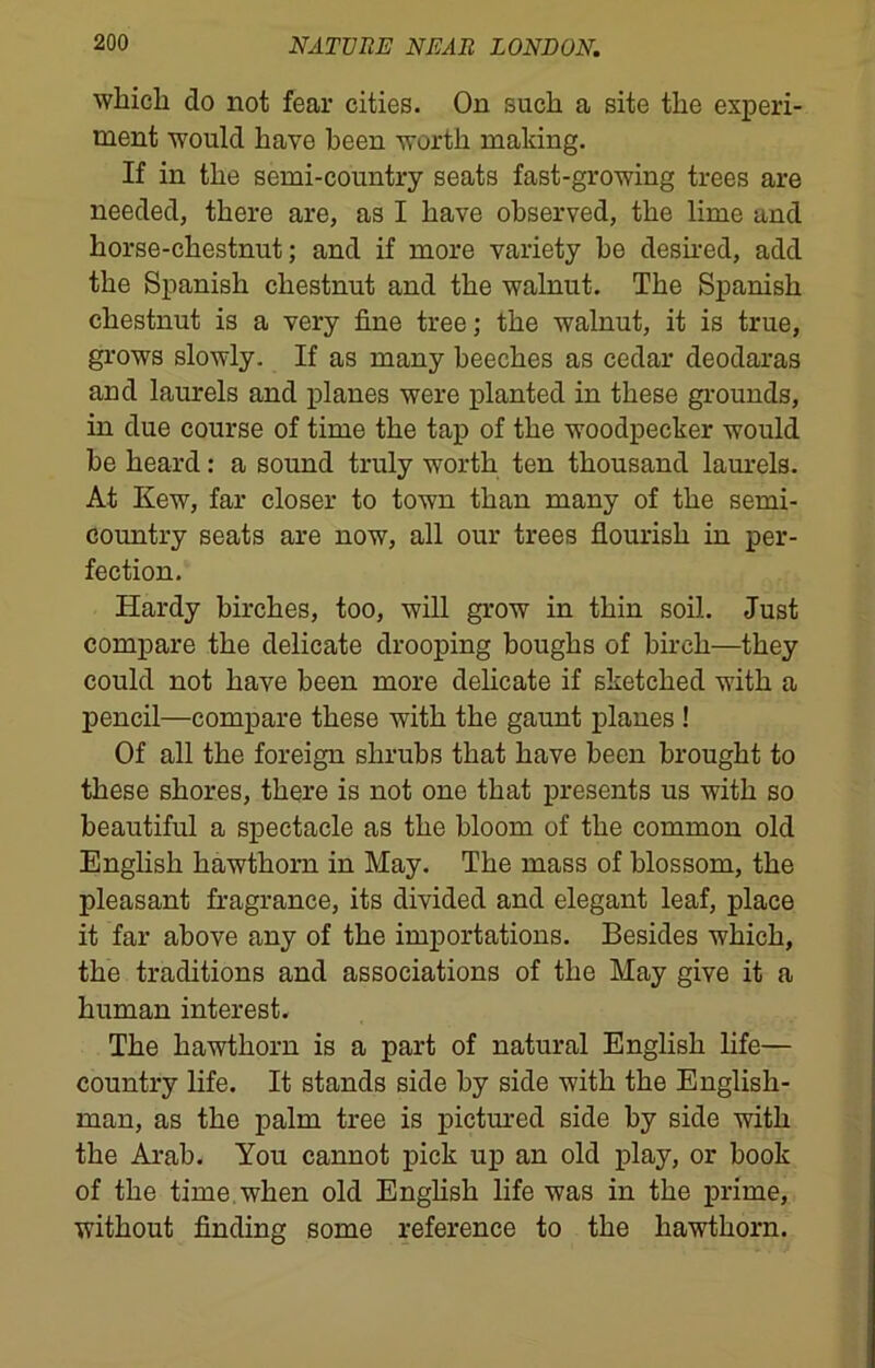 which do not fear cities. On such a site the experi- ment would have been worth making. If in the semi-country seats fast-growing trees are needed, there are, as I have observed, the lime and horse-chestnut; and if more variety be desired, add the Spanish chestnut and the walnut. The Spanish chestnut is a very fine tree; the walnut, it is true, grows slowly. If as many beeches as cedar deodaras and laurels and planes were planted in these grounds, in due course of time the tap of the woodpecker would be heard: a sound truly worth ten thousand laurels. At Kew, far closer to town than many of the semi- country seats are now, all our trees flourish in per- fection. Hardy birches, too, will grow in thin soil. Just compare the delicate drooping boughs of birch—they could not have been more delicate if sketched with a pencil—compare these with the gaunt planes ! Of all the foreign shrubs that have been brought to these shores, there is not one that presents us with so beautiful a spectacle as the bloom of the common old English hawthorn in May. The mass of blossom, the pleasant fragrance, its divided and elegant leaf, place it far above any of the importations. Besides which, the traditions and associations of the May give it a human interest. The hawthorn is a part of natural English life— country life. It stands side by side with the English- man, as the palm tree is pictured side by side with the Arab. You cannot pick up an old play, or book of the time when old English life was in the prime, without finding some reference to the hawthorn.