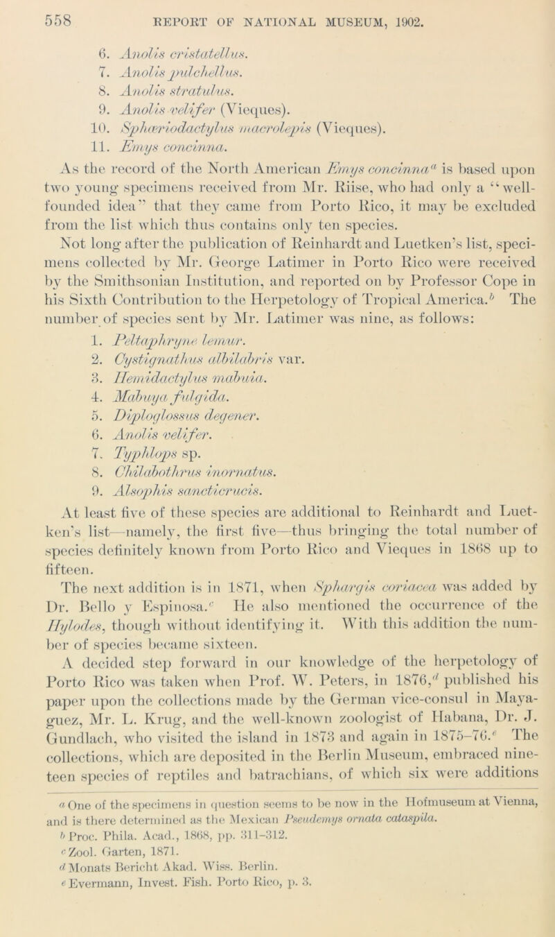 6. Anolis cr'bsiaiettus. 7. Anolis jmlchellus. 8. Anolis stratulus. 9. Anolis velifer (Vieques). 10. Sphceriodactylus macrolepis (Vieques). 11. Emys concinna. As the record of the North American Emys concinnaa is based upon two young- specimens received from Mr. Riise, who had only a “well- founded idea'’ that they came from Porto Pico, it may be excluded from the list which thus contains only ten species. Not long after the publication of Reinhardt and Luetken’s list, speci- mens collected by Mr. George Latimer in Porto Rico were received by the Smithsonian Institution, and reported on by Professor Cope in his Sixth Contribution to the Herpetology of Tropical America.6 The number of species sent by Mr. Latimer was nine, as follows: 1. Peltaphryne lemur. 2. Oystignatkus albilabris var. 3. Ilemidactylus mabuia. 4. Mab my a fi dg Ida. 5. Diploglossus degener. 6. Anolis velifer. Typhlops sp. Chilaboth rus inornatus. Alsophis sancticrucis. At least five of these species are additional to Reinhardt and Luet- ken’s list—namely, the first five—thus bringing the total number of species definitely known from Porto Rico and Vieques in 1868 up to fifteen. The next addition is in 1871, when Sphargis coriacea was added by Dr. Bello y Espinosa/ He also mentioned the occurrence of the Hylodes, though without identifying it. With this addition the num- ber of species became sixteen. A decided step forward in our knowledge of the herpetology of Porto Rico was taken when Prof. W. Peters, in 1876,(/ published his paper upon the collections made by the German vice-consul in Maya- guez, VIr. L. Krug, and the well-known zoologist of Habana, Dr. J. Gundlach, who visited the island in 1873 and again in 1875-76/ Ihe collections, which are deposited in the Berlin Museum, embraced nine- teen species of reptiles and batrachians, of which six were additions 7. 8. 9. a One of the specimens in question seems to be now in the II of museum at Vienna, and is there determined as the Mexican Fseudemys ornata cataspila. l> Proc. Phila. Acad., 1868, pp. 311-312. c Zool. Garten, 1871. d Monats Bericht Akad. Wiss. Berlin. e Evermann, Invest. Fish. Porto Rico, p. 3.