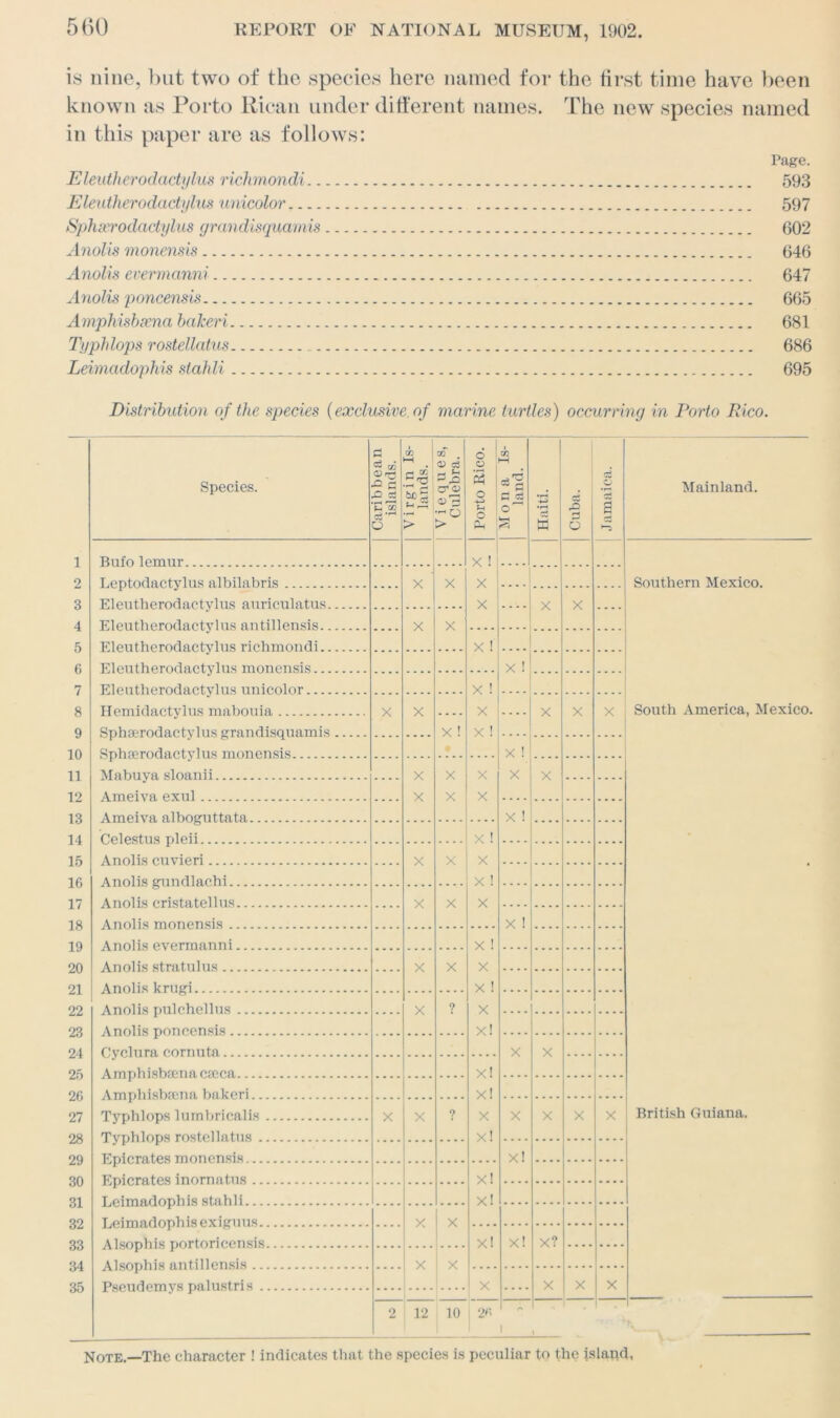 is nine, but two of the species here named for the first time have been known as Porto Rican under different names. The new species named in this paper are as follows: Page. Eleutherodactylus richmondi 593 Eleutherodactylus unicolor 597 Sphecrodactylus grandisquamis 602 Anolis monensis 646 Anolis evermanni 647 Anolis poncensis 665 Amphisbxna bakeri 681 Typhlops rostellcitus 686 Leimadophis slahli 695 Distribution of the species {exclusive, of marine turtles) occurring in Porto Rico. Species. Caribbean islands. Virgin Is- lands. Vieques, Culebra. Porto Rico. Mona Is- land. Haiti. Cuba. Jamaica. Mainland. 1 Bufo lemur . X ! 2 Leptodactylus albilabris X X X Southern Mexico. 3 Eleutherodactylus auriculatus X X X 4 Eleutherodactylus antillensis X X 5 Eleutherodactylus richmondi X ! 6 7 8 9 Eleutherodactylus monensis X ! Elentheroda.o.t.ylns unieolor X ! Hemidactylus mabouia Sphfp.roda.otylns grandisquamis X X X ! X X ! — X X x South America, Mexico. 10 11 12 13 14 15 16 17 18 19 20 21 22 23 24 25 26 27 28 29 30 31 32 33 34 35 Spbperodae.tylus monensis X ! Mabuva sloanii X X X X X A meiva. e.xnl X X X Ameiva. a.lhogntta.ta,. X ! Celest.us pleii X ! • A nolis onvieri X X X Anolis gnndla.ehi X ! Anolis crista, tel Ins X X X Anolis monensis X ! Anolis ovorm a.nni X ! Anolis stratnlns __ X X X A nolis krngi x ! Anolis pulchellus X ? x Anolis poncensis X! Cvclura cornuta X X A m ph i sham a. c.fp.c.a... X! Am phi sham a, bakeri X! Typhlops lumbriealis X X ? X X X X X British Guiana. Typhlops rost.ella.tus X! Enierat.es monensis X! Enierates inornatns X! T,mmflrlr>r>his stnhli x! T .eimnrlonhis exi'cnns. X X Alsnnhis riortoriporisis X! X! X? Aloonhis antillensis X x Psonrfprn vs r>fl.lust,ri s X X X X 2 12 10 2« i 1 1 Note.—The character ! indicates that the species is peculiar to the island,
