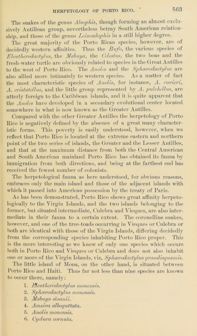 The snakes of the genus Alsophis, though forming an almost exclu- sively Antillean group, nevertheless betray South American relation- ship, and those of the genus Leimadophis in a still higher degree. The great majority of the Porto Rican species, however, are of decidedly western affinities. Thus the Bufo, the various species of Eleutherodactylus, the Mabuya, the Celestus, the two boas and the fresh-water turtle are obviously related to species in the Great Antilles to the west of Porto Rico. The Anoles and the Sphserodactylus are also allied more intimately to western species. As a matter of fact the most characteristic species of Anolis, for instance, A. cuvieri, A. cristatellus, and the little group represented by A. pulchellus, arc utterly foreign to the Caribbean islands, and it is quite apparent that the Anoles have developed in a secondary evolutional center located somewhere in what is now known as the Greater Antilles. Compared with the other Greater Antilles the herpetology of Porto Rico is negatively defined by the absence of a great many character- istic forms. This poverty is easily understood, however, when we reflect that Porto Rico is located at the extreme eastern and northern point of the two series of islands, the Greater and the Lesser Antilles, and that at the maximum distance from both the Central American and South American mainland Porto Rico has obtained its fauna by immigration from both directions, and being at the farthest end has received the fewest number of colonists. The herpetological fauna as here understood, for obvious reasons, embraces only the main island and those of the adjacent islands with which it passed into American possession by the treaty of Paris. As has been demonstrated, Porto Rico shows great affinity herpeto- logically to the Virgin Islands, and the two islands belonging to the former, but situated intermediate, Culebra and Vieques, are also inter- mediate in their fauna to a certain extent. The coronelline snakes, however, and one of the tree-toads occurring in Vieques or Culebra or both are identical with those of the Virgin Islands, differing decidedly from the corresponding species inhabiting Porto Rico proper. This is the more interesting as we know of only one species which occurs both in Porto Rico and Vieques or Culebra and does not also inhabit one or more of the Virgin Islands, viz, Sphserodactylus grandisquamis. The little island of Mona, on the other hand, is situated between Porto Rico and Haiti. Thus far not less than nine species are known to occur there, namely: 1. EHeutherodactylus monensis. 2. Sphserodactylus monensis. 3. Mabuya sloanii. 4. Ameiva alboguttata. 5. Anolis monensis. 6. Cyclura cornuta.