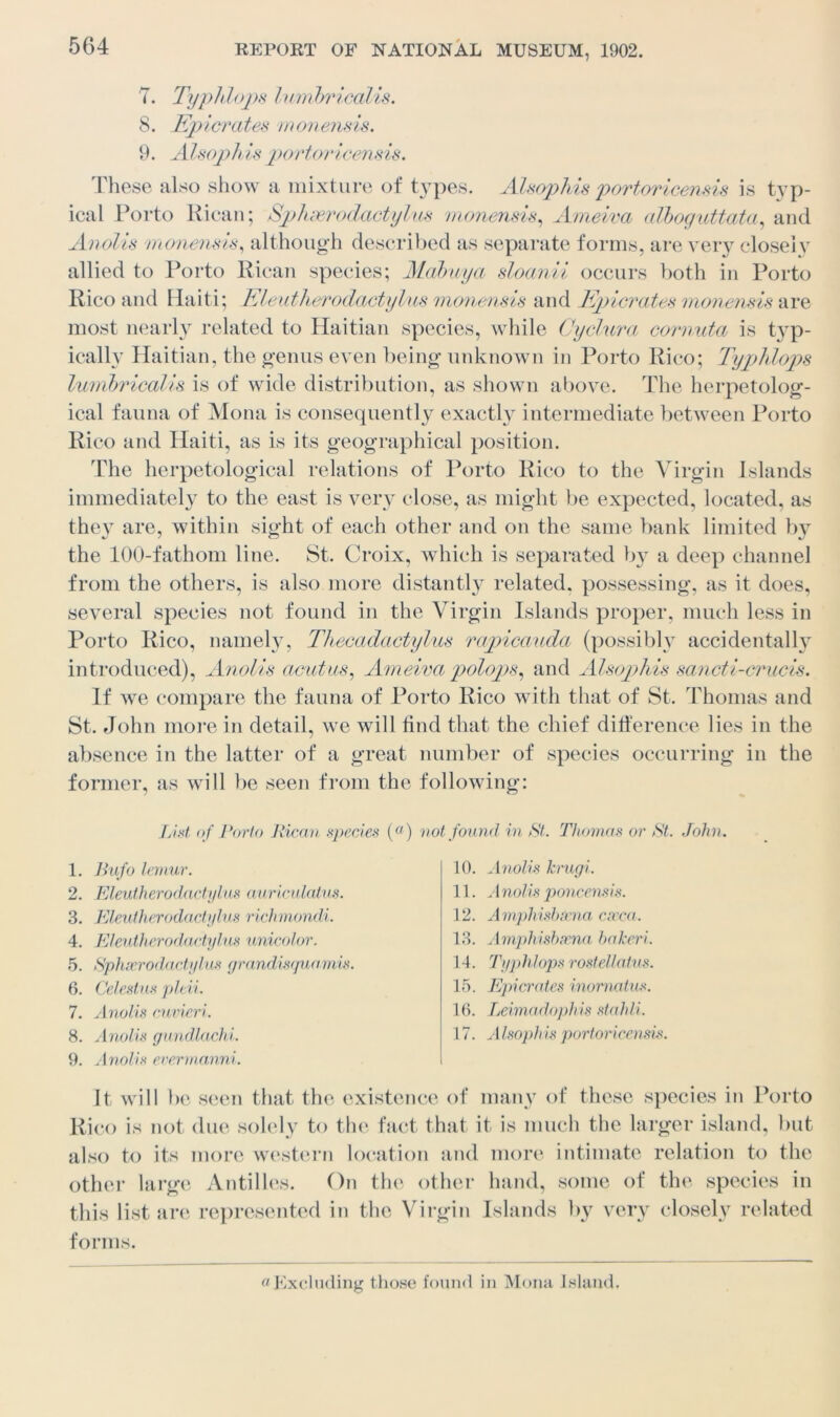 7. Typhlops lumbricalis. 8. Epicrates monensis. 9. Alsophis portoricensis. These also show a mixture of types. Alsophis portoricensis is typ- ical Porto Rican; Sphderodactylus 'monensis, Ameiva alboguttata, and Anolis monensis, although described as separate forms, are very close! v allied to Porto Rican species; Mabuya sloanii occurs both in Porto Rico and Haiti; Eleutherodactyhis monensis and Eyyicrates monensis are most nearly related to Haitian species, while Cyclura cornuta is typ- ically Haitian, the genus even being unknown in Porto Rico; Typhlops lumbricalis is of wide distribution, as shown above. The herpetolog- ical fauna of Mona is consequently exactly intermediate between Porto Rico and Haiti, as is its geographical position. The herpetological relations of Porto Rico to the Virgin Islands immediately to the east is very close, as might be expected, located, as they are, within sight of each other and on the same bank limited by the 100-fathom line. St. Croix, which is separated by a deep channel from the others, is also more distantly related, possessing, as it does, several species not found in the Virgin Islands proper, much less in Porto Rico, namely, Thecadactylus rapicauda (possibly accidentally introduced), Anolis acutus, Ameivci polops, and Alsophis sancti-crucis. If we compare the fauna of Porto Rico with that of St. Thomas and St. John more in detail, we will find that the chief difference lies in the absence in the latter of a great number of species occurring in the former, as will be seen from the following: List of Porto Rican species («) not found in St. Thomas or St. John. 1. Bufo lemur. 2. Eleuiherodactylus auriculatus. 3. Eleuiherodactylus richmondi. 4. Eleuiherodactylus unicolor. 5. Sphxrodactylus grandisquamis. 6. Celestas pleii. 7. Anolis cuvieri. 8. Anolis gundlachi. 9. Anolis evermanni. 10. Anolis krugi. 11. A nolis poncensis. 12. Ampliishsena caeca. 13. Amphisbecna hakeri. 14. Typhlops rostellatus. 15. Epicrates inornatus. 16. Leimadoph is stahli. 17. Alsophis portoricensis It will be seen that the existence of many of these species in Porto Rico is not due solely to the fact that it is much the larger island, but also to its more western location and more intimate relation to the other large Antilles. On the other hand, some of the species in this list are represented in the Virgin Islands by very closely related forms. aExcluding those found in Mona Island.