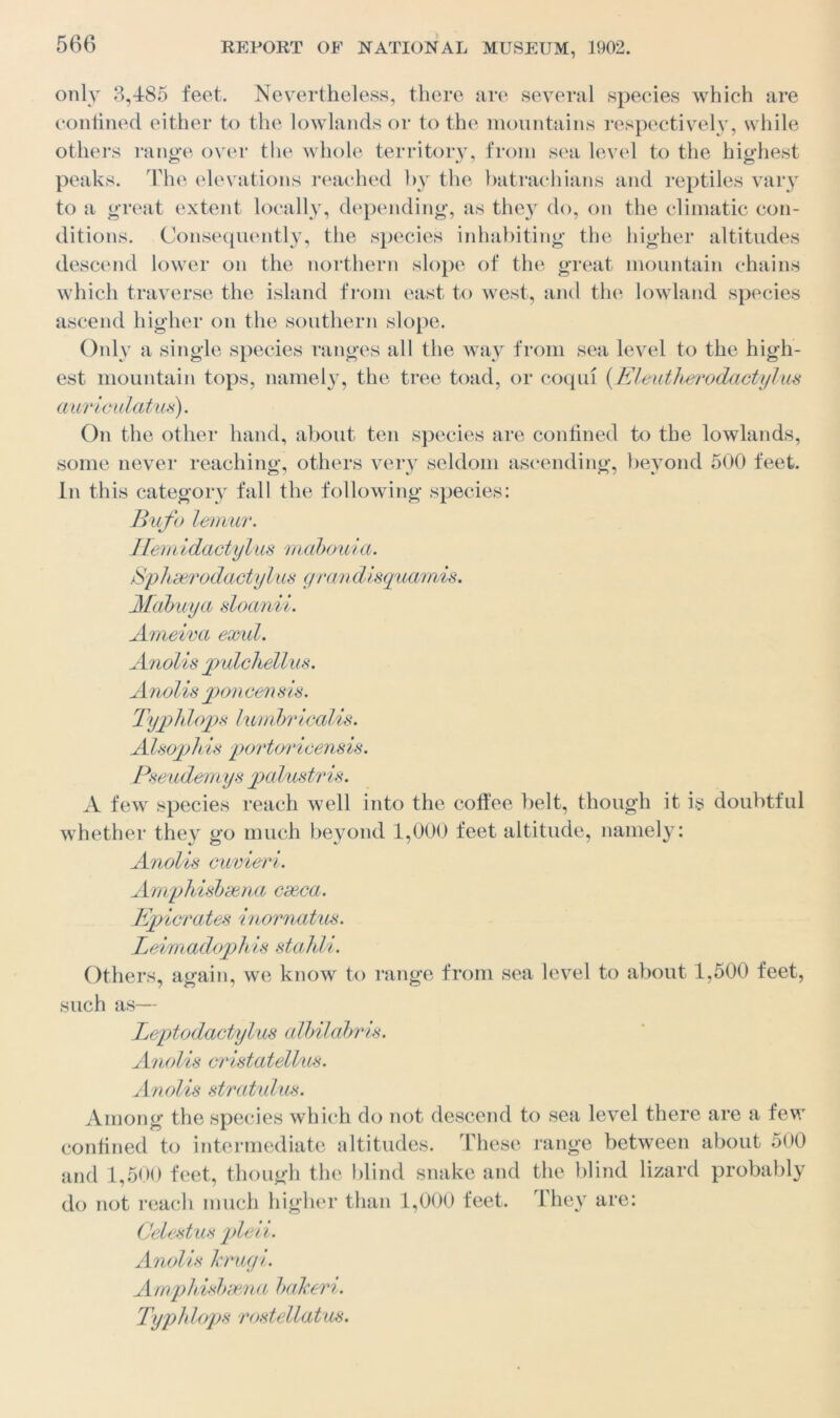 only 3,485 feet. Nevertheless, there are several species which are contined either to the lowlands or to the mountains respectively, while others range over the whole territory, from sea level to the highest peaks. The elevations reached by the batrachians and reptiles vary to a great extent locally, depending, as they do, on the climatic con- ditions. Consequently, the species inhabiting the higher altitudes descend lower on the northern slope of the great mountain chains which traverse the island from east to west, and the lowland species ascend higher on the southern slope. Only a single species ranges all the way from sea level to the high- est mountain tops, namely, the tree toad, or coqui {Eleutherodactylus aurioulatus). On the other hand, about ten species are confined to the lowlands, some never reaching, others very seldom ascending, beyond 500 feet. In this category fall the following species: Bufo lemur. Hemidactylus mabouia. Sphserodactylus grandisquamis, Mabuya sloanii. Ameiva exul. Anolis pulchellus. Anolis poncen sis. Typhlops lumbricalis. Alsojjhis portoricensis. Pseudemys palustr is. A few species reach well into the coffee belt, though it is doubtful whether they go much beyond 1,000 feet altitude, namely: Anolis cuvieri. Amphisbdena caeca. Epicrates inornatus. Leimadophis stahU. Others, again, we know to range from sea level to about 1,500 feet, such as— Leptodactylus albilabris. Anolis cristatellus. Anolis stratulus. Among the species which do not descend to sea level there are a few confined to intermediate altitudes. These range between about 500 and 1,500 feet, though the blind snake and the blind lizard probably do not reach much higher than 1,000 feet. They are: Celestus pled. Anolis hrugi. Amphisbdena bakeri. Typhlops rostellatus.