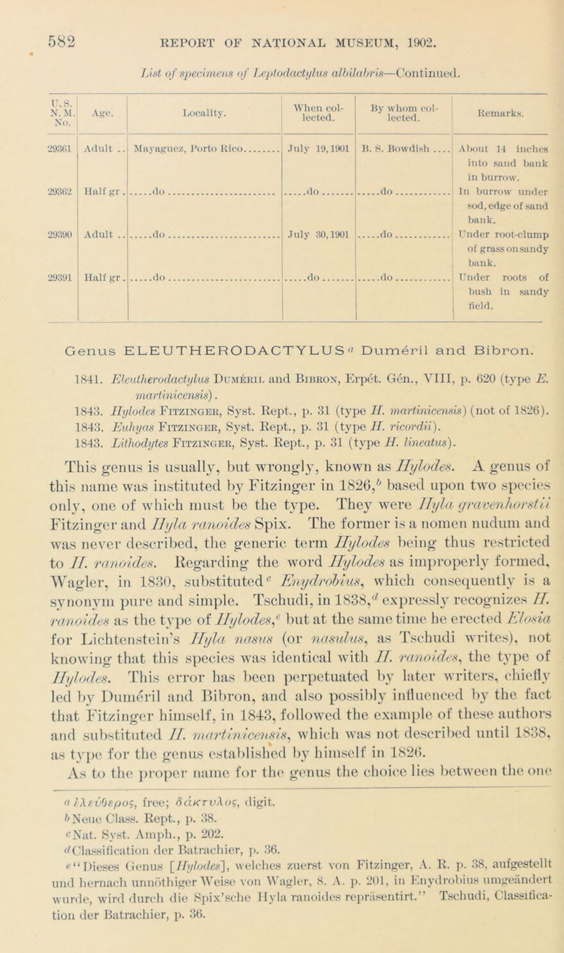 List of specimens of Leptodactylus albilabris—Continued. u. s. N. M. No. Age. 29361 Adult .. 29362 Half gr. 29390 Adult .. 29391 Half gr. 1 nofllitv When col- Locaiitj. lected. By whom col- lected. Mayaguez, Porto Rico July 19,1901 do B. S. Bowdish do do do July 30,1901 do do do do Remarks. About 14 inches into sand bank in burrow. In burrow under sod, edge of sand bank. Under root-clump of grass on sandy bank. Under roots of bush in sandy field. Genus ELEUTHERODACTYLUS Dumeril and Bibron. 1841. Eleutherodactylus Dumeril and Bibron, Erpet. Gen., VIII, p. 620 (type E. martinicensis). 1843. Hylodes Fitzinger, Syst. Rept., p. 31 (type II. martinicensis) (not of 1826). 1843. Euhyas Fitzinger, Syst. Kept., p. 31 (type//, ricordii). 1843. Lithodytes Fitzinger, Syst. Rept., p. 31 (type II. lineatus). This genus is usually, but wrongly, known as Ilylodes. A genus of this name was instituted by Fitzinger in 1826,6 based upon two species only, one of which must be the type. They were Ilyla gravenhorstii Fitzinger and Ilyla ranoides Spix. The former is a nomen nudum and was never described, the generic term Ilylodes being thus restricted to II. ranoides. Regarding the word Hylodes as improperly formed, Wagler, in 1830, substitutedc Enydrobius, which consequently is a synonym pure and simple. Tschudi, in 1838/ expressly recognizes II. ranoides as the type of Ilylodes f but at the same time he erected Elosia for Lichtenstein’s Ilyla nasus (or nasulus, as Tschudi writes), not knowing that this species was identical with II. ranoides, the type of Hylodes. This error has been perpetuated by later writers, chiefly led by Dumeril and Bibron, and also possibly influenced by the fact that Fitzinger himself, in 18-13, followed the example of these authors and substituted II. martinicensis, which was not described until 1838, as type for the genus established by himself in 1826. As to the proper name for the genus the choice lies between the one a iXevOspos, free; 8&ktv\o\digit. &Neue Class. Rept., p. 38. ^Nat. Syst. Arnph., p. 202. ^Classification der Batrachier, p. 36. Dieses Genus [Ilylodes], welches zuerst von Fitzinger, A. R. p. 38, aufgestellt und hernach unnothiger Weise von Wagler, 8. A. p. 201, in Enydrobius umgeandert wurde, wird durch die Spix’sche Ilyla ranoides repriisentirt.” Tschudi, Classifica- tion der Batrachier, p. 36.