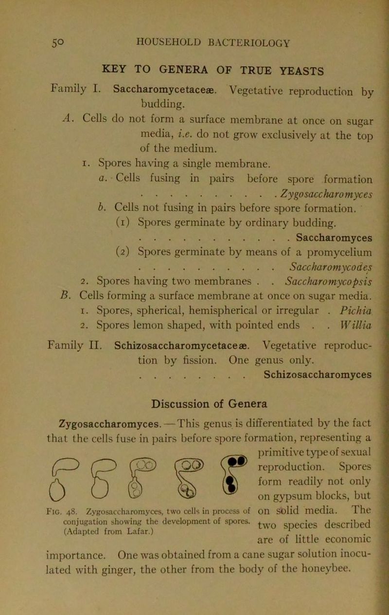 KEY TO GENERA OF TRUE YEASTS j Family I. Saccharomycetaceae. Vegetative reproduction by i budding. j A. Cells do not form a surface membrane at once on sugar j media, i.e. do not grow exclusively at the top \ of the medium. j 1. Spores having a single membrane. a. Cells fusing in j)airs before spore formation Zygosaccharomyces b. Cells not fusing in pairs before spore formation. (1) Spores germinate by ordinary budding. Saccharomyces (2) Spores germinate by means of a promycelium Saccharomycodes 2. Spores having two membranes . . Saccharomycopsis B. Cells forming a surface membrane at once on sugar media. 1. Spores, spherical, hemispherical or irregular . Pichia ' 2. Spores lemon shaped, with pointed ends . . Willia Family II. Schizosaccharomycetaceae. Vegetative reproduc- tion by fission. One genus only. ' Schizosaccharomyces Discussion of Genera Zygosaccharomyces.—This genus is differentiated by the fact that the cells fuse in pairs before spore formation, representing a ])rimitive type of sexual iXi) reproduction. Spores form readily not only on gypsum blocks, but on solid media. The two species described are of little economic 0 Fig. 48. Zygosaccharomyces, two cells in process of conjugation showing the development of spores. (.Adapted from Lafar.) importance. One was obtained from a cane sugar solution inocu- lated with ginger, the other from the body of the honeybee.
