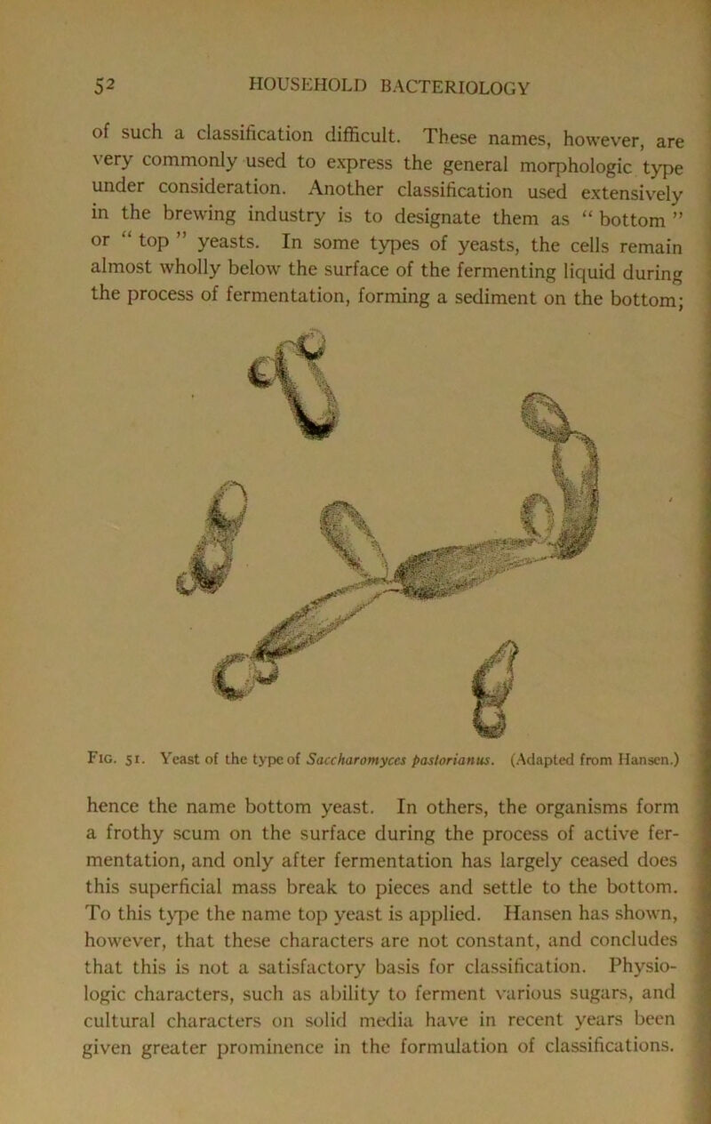 of such a classification difficult. These names, however, are very commonly used to e.xpress the general morphologic type under consideration. Another classification used extensively in the brewing industry is to designate them as “bottom” or “ top ” yeasts. In some types of yeasts, the cells remain almost wholly below the surface of the fermenting liquid during the process of fermentation, forming a sediment on the bottom; Fig. si. Yeast of the type of Saccharomyces paslorianus. (.Adapted from Hansen.) hence the name bottom yeast. In others, the organisms form a frothy scum on the surface during the process of active fer- mentation, and only after fermentation has largely ceased does this superficial mass break to pieces and settle to the bottom. To this tj’pe the name top yeast is applied. Hansen has shown, however, that these characters are not constant, and concludes that this is not a satisfactory basis for classification. Physio- logic characters, such as ability to ferment various sugars, and cultural characters on solid media have in recent years been given greater prominence in the formulation of classifications.