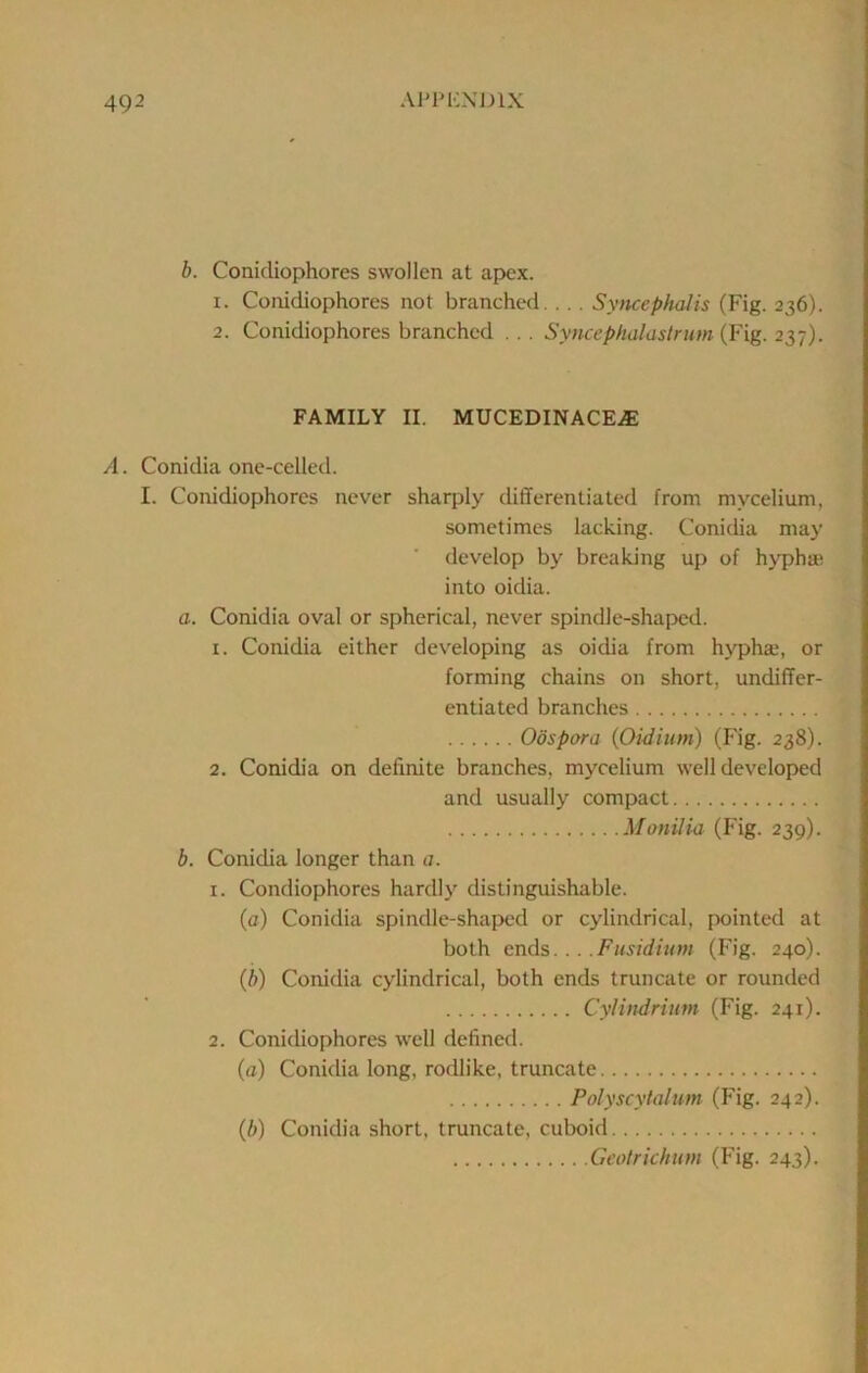 b. Conicliophores swollen at apex. 1. Conidiophores not branched. . . . Syncephalis (Fig. 236). 2. Conidiophores branched ... Syncephalastrum (Fig. 237). FAMILY II. MUCEDINACE2E A. Conidia one-celled. I. Conidiophores never sharply differentiated from mycelium, sometimes lacking. Conidia may develop by breaking up of hyphae. into oidia. a. Conidia oval or spherical, never spindle-shaped. 1. Conidia either developing as oidia from hyphae, or forming chains on short, undiffer- entiated branches Oospora (Oidium) (Fig. 238). 2. Conidia on definite branches, mycelium well developed and usually compact Monilia (Fig. 239). b. Conidia longer than a. I. Condiophores hardlj^ distinguishable. (a) Conidia spindle-shaped or cylindrical, pointed at both ends... .Fusidium (Fig. 240). (b) Conidia cylindrical, both ends truncate or rounded Cylindrium (Fig. 241). 2. Conidiophores well defined. (a) Conidia long, rodlike, truncate Polyscytalum (Fig. 242). {b) Conidia short, truncate, cuboid Geotric/ium (h'ig. 243).