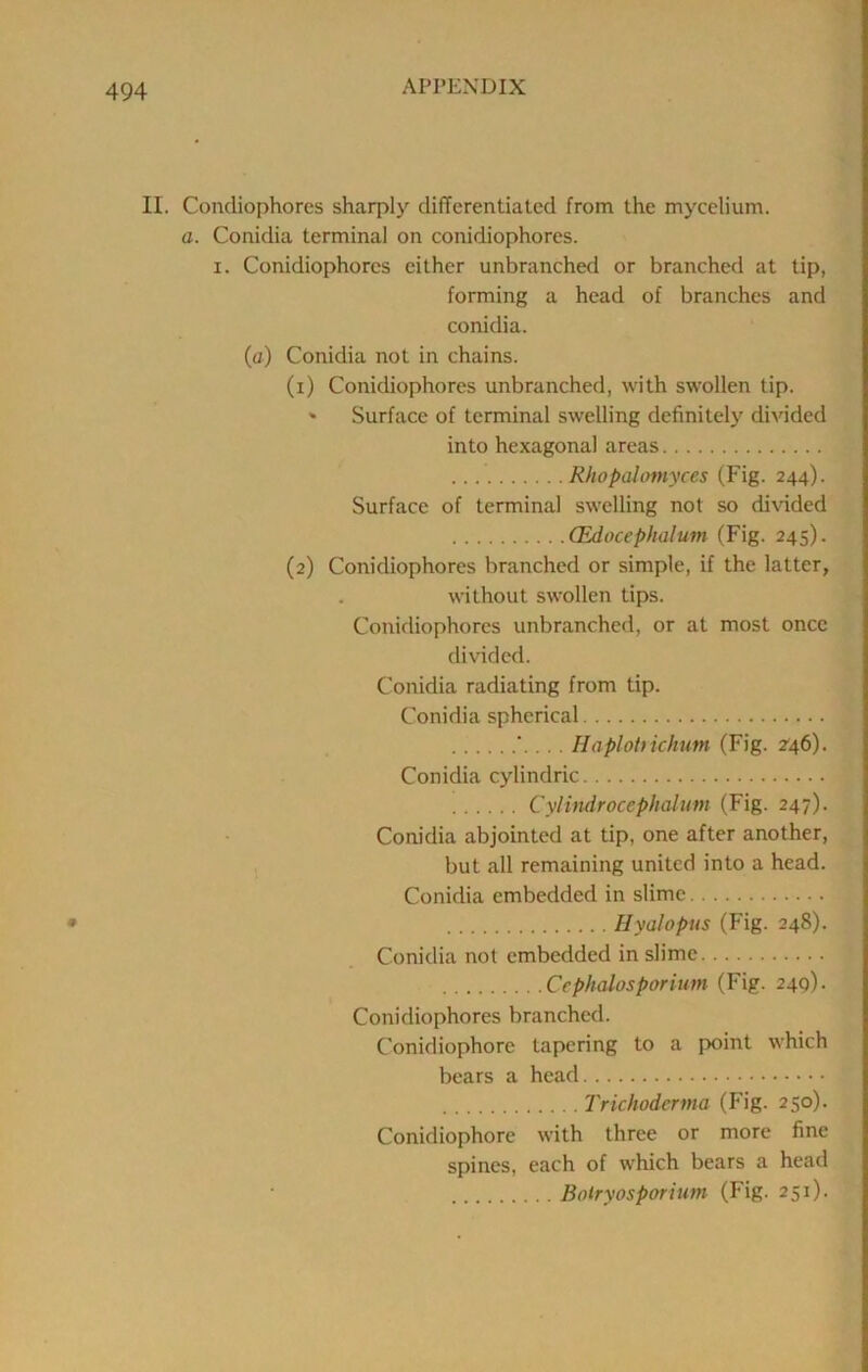 II. Condiophores sharply differentiated from the mycelium. a. Conidia terminal on conidiophores. I. Conidiophores either unbranched or branched at tip, forming a head of branches and conidia. (a) Conidia not in chains. (1) Conidiophores unbranched, with swollen tip. * Surface of terminal swelling definitely di>dded into hexagonal areas Rhopalotnyces (Fig. 244). Surface of terminal swelling not so divided (Edocephalum (Fig. 245). (2) Conidiophores branched or simple, if the latter, . without swollen tips. Conidiophores unbranched, or at most once divided. Conidia radiating from tip. Conidia spherical ■... . Haploitichum (Fig. 246). Conidia cylindric Cyli)uirocephalum (Fig. 247). Conidia abjointed at tip, one after another, but all remaining united into a head. Conidia embedded in slime Hyahpus (Fig. 248). Conidia not embedded in slime Cephalosporium (Fig. 24q). Conidiophores branched. Conidiophore tapering to a point which bears a head Trichoderma (Fig. 250). Conidiophore with three or more fine spines, each of which bears a head Boiryosporium (Fig. 251).