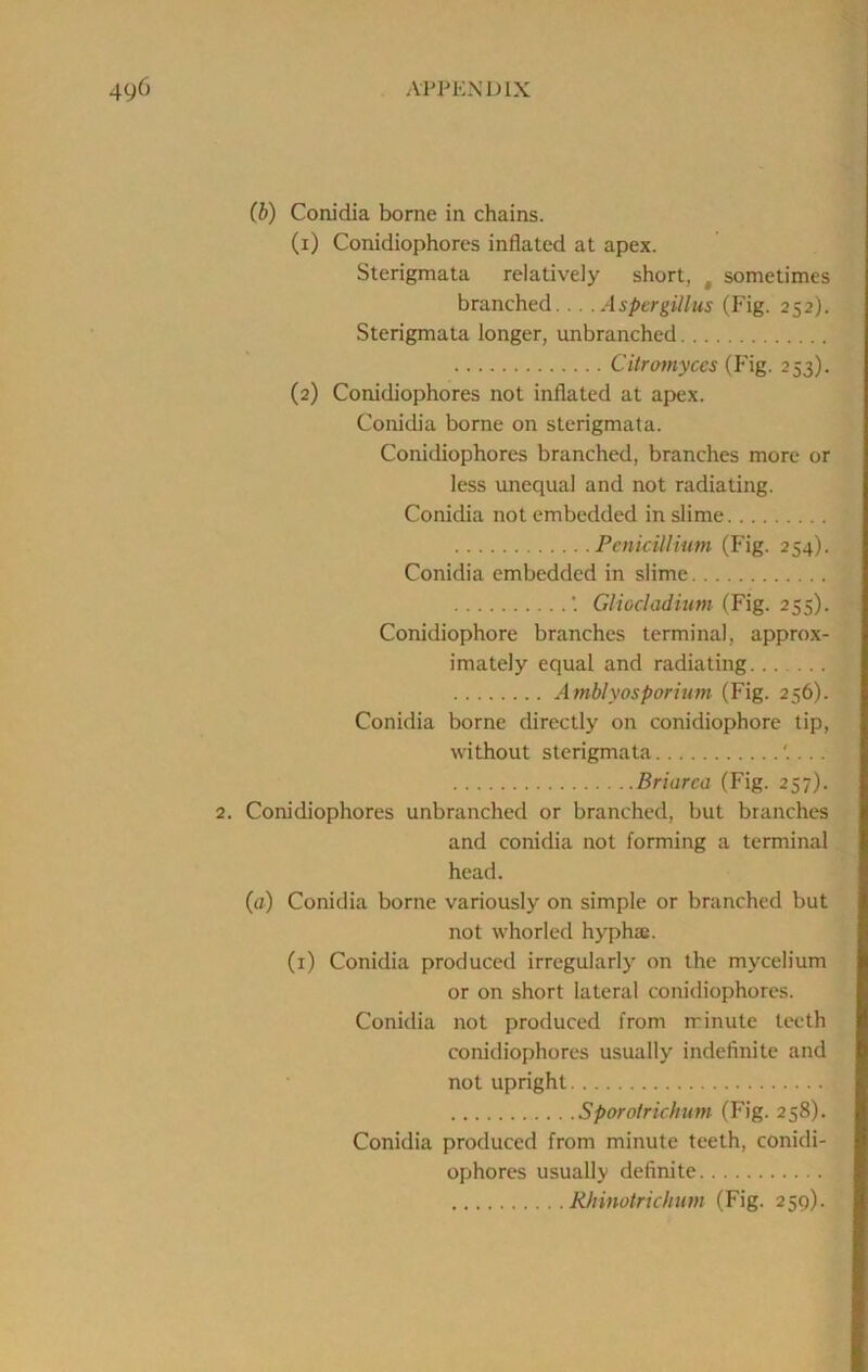 (b) Conidia borne in chains. (1) Conidiophores inflated at apex. Sterigmata relatively short, , sometimes branched. . . .Aspergillus (Fig. 252). Sterigmata longer, unbranched Citromyces (Fig. 253). (2) Conidiophores not inflated at apex. Conidia borne on sterigmata. Conidiophores branched, branches more or less unequal and not radiating. Conidia not embedded in slime Penicillium (Fig. 254). Conidia embedded in slime ■ Gliocladium (Fig. 255). Conidiophore branches terminal, approx- imately equal and radiating Amblyosporium (Fig. 256). Conidia borne directly on conidiophore tip, without sterigmata '.... Briarca (Fig. 257). 2. Conidiophores unbranched or branched, but branches and conidia not forming a terminal head. (a) Conidia borne variously on simple or branched but not whorled hyphaj. (i) Conidia produced irregularly on the mycelium or on short lateral conidiophores. Conidia not produced from minute teeth conidiophores usually indefinite and not upright Sporotrichum (Fig. 258). Conidia produced from minute teeth, conidi- ophores usually definite Rhinotrichum (Fig. 259).
