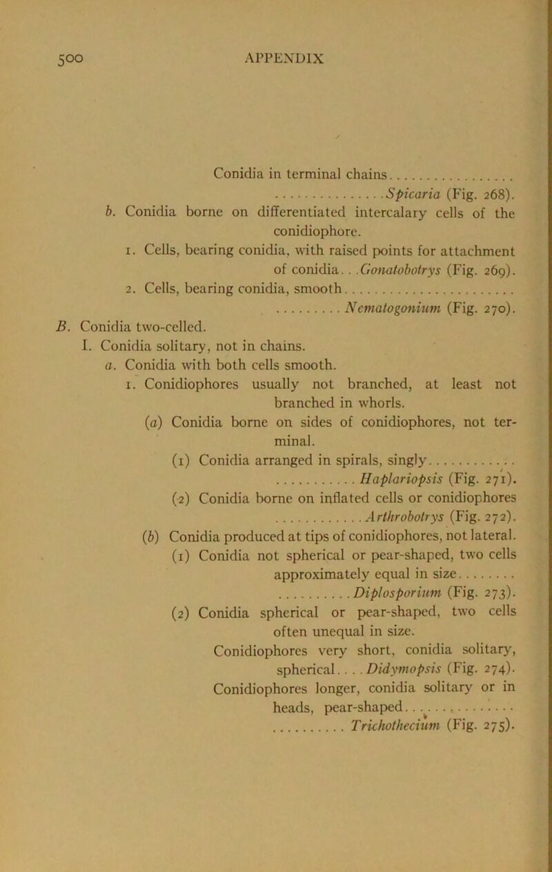 Conidia in terminal chains Spicaria (Fig. 268). b. Conidia borne on differentiated intercalary cells of the conidiophore. 1. Cells, bearing conidia, with raised points for attachment of conidia.. .Conatobotrys (Fig. 269). 2. Cells, bearing conidia, smooth Nematogonium (Fig. 270). B. Conidia two-celled. 1. Conidia solitary, not in chains. a. Conidia with both cells smooth. I. Conidiophores usually not branched, at least not branched in whorls. (a) Conidia borne on sides of conidiophores, not ter- minal. (1) Conidia arranged in spirals, singly Haptariopsis (Fig. 271). (2) Conidia borne on inflated cells or conidiophores Arthrobotrys (Fig. 272). {b) Conidia produced at tips of conidiophores, not lateral. (1) Conidia not spherical or pear-shaped, two cells approximately equal in size Diplosporinm (Fig. 273). (2) Conidia spherical or pear-shaped, two cells often unequal in size. Conidiophores very short, conidia solitary, spherical.. . . Didymopsis (Fig. 274). Conidiophores longer, conidia solitary^ or in heads, pear-shaped.. , Trkhothecium (Fig. 275).