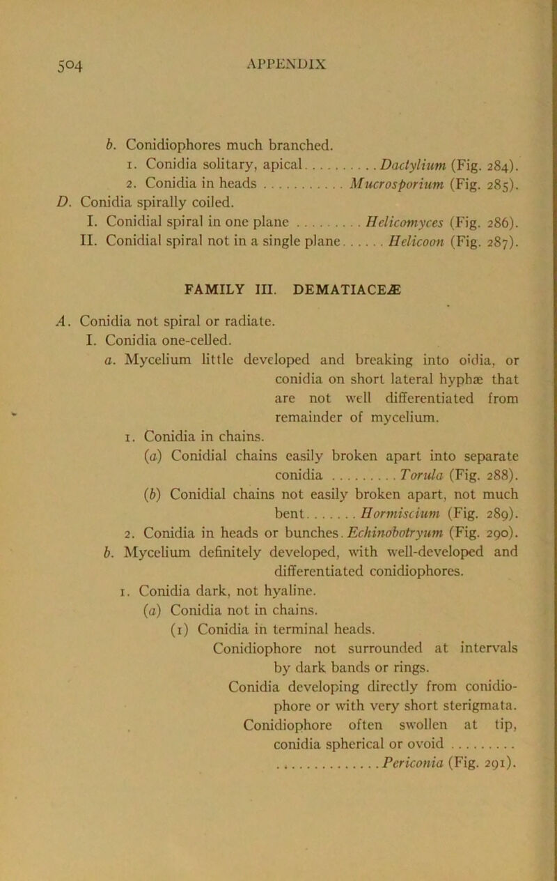 b. Conidiophores much branched. 1. Conidia solitary, apical Dadylium (Fig. 284). 2. Conidia in heads Mucrosporiiim (Fig. 285). D. Conidia spirally coiled. I. Conidial spiral in one plane Hdicomyces (Fig. 286). II. Conidial spiral not in a single plane Ilelicoon (Fig. 287). FAMILY III. DEMATIACE.® A. Conidia not spiral or radiate. I. Conidia one-celled. a. Mycelium little developed and breaking into oidia, or conidia on short lateral hypha: that are not well differentiated from remainder of mycelium. 1. Conidia in chains. (a) Conidial chains easily broken apart into separate conidia Torida (Fig. 288). {b) Conidial chains not easily broken apart, not much bent Ilormiscium (Fig. 289). 2. Conidia in heads or hunches,. Echinobotryum (Fig. 290). b. Mycelium definitely developed, with well-developed and differentiated conidiophores. I. Conidia dark, not hyaline. (a) Conidia not in chains. (i) Conidia in terminal heads. Conidiophorc not surrounded at interv’als by dark bands or rings. Conidia developing directly from conidio- phore or with very short sterigmata. Conidiophorc often swollen at tip, conidia spherical or ovoid Perkonia (Fig. 291).
