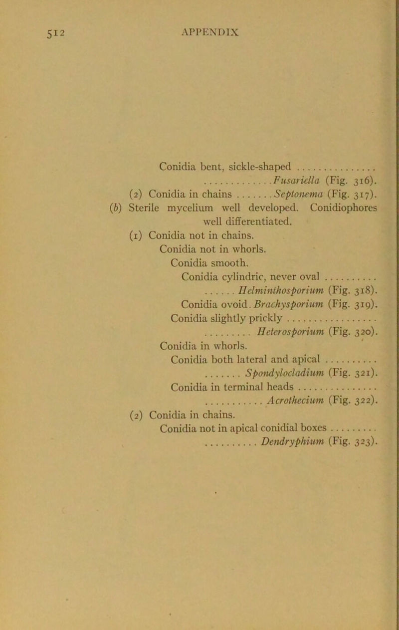 Conidia bent, sickle-shap)ed Fusaticlla (Fig. 316). (2) Conidia in chains Septonema (Fig. 317). {b) Sterile mycelium well developed. Conidiophores well differentiated. (1) Conidia not in chains. Conidia not in whorls. Conidia smooth. Conidia cylindric, never oval Ilciminthosporium (Fig. 318). Conidia ovoid. Brachysparium (Fig. 319). Conidia slightly prickly Heterosporium (Fig. 320). Conidia in whorls. Conidia both lateral and apical Spotidylocladium (Fig. 321). Conidia in terminal heads Acrothecium (Fig. 322). (2) Conidia in chains. Conidia not in apical conidial boxes Deitdryphiim (Fig. 323).