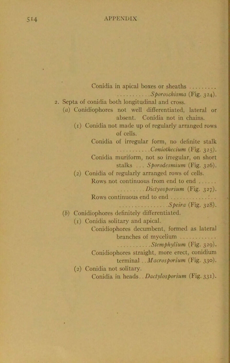 Conidia in apical boxes or sheaths Sporoichisma (Fig. 324). 2. Septa of conidia both longitudinal and cross. (a) Conidiophores not well differentiated, lateral or absent. Conidia not in chains. (1) Conidia not made up of regularly arranged rows of cells. Conidia of irregular form, no definite stalk Coniothcdum (Fig. 325). Conidia muriform, not so irregular, on short stalks . .. Sparodesmium (Fig. 326). (2) Conidia of regularly arranged rows of cells. Rows not continuous from end to end Diciyosporium (Fig. 327). Rows continuous end to end ;.. Spcira (Fig. 328). {b) Conidiophores definitely differentiated. (1) Conidia solitary and apical. Conidiophores decumbent, formed as lateral branches of mycelium Stemphylium (Fig. 329). Conidiophores straight, more erect, conidium terminal . .Macrosporium (Fig. 330). (2) Conidia not solitary. Conidia in heads.. Dactylosporium (Fig. 331).
