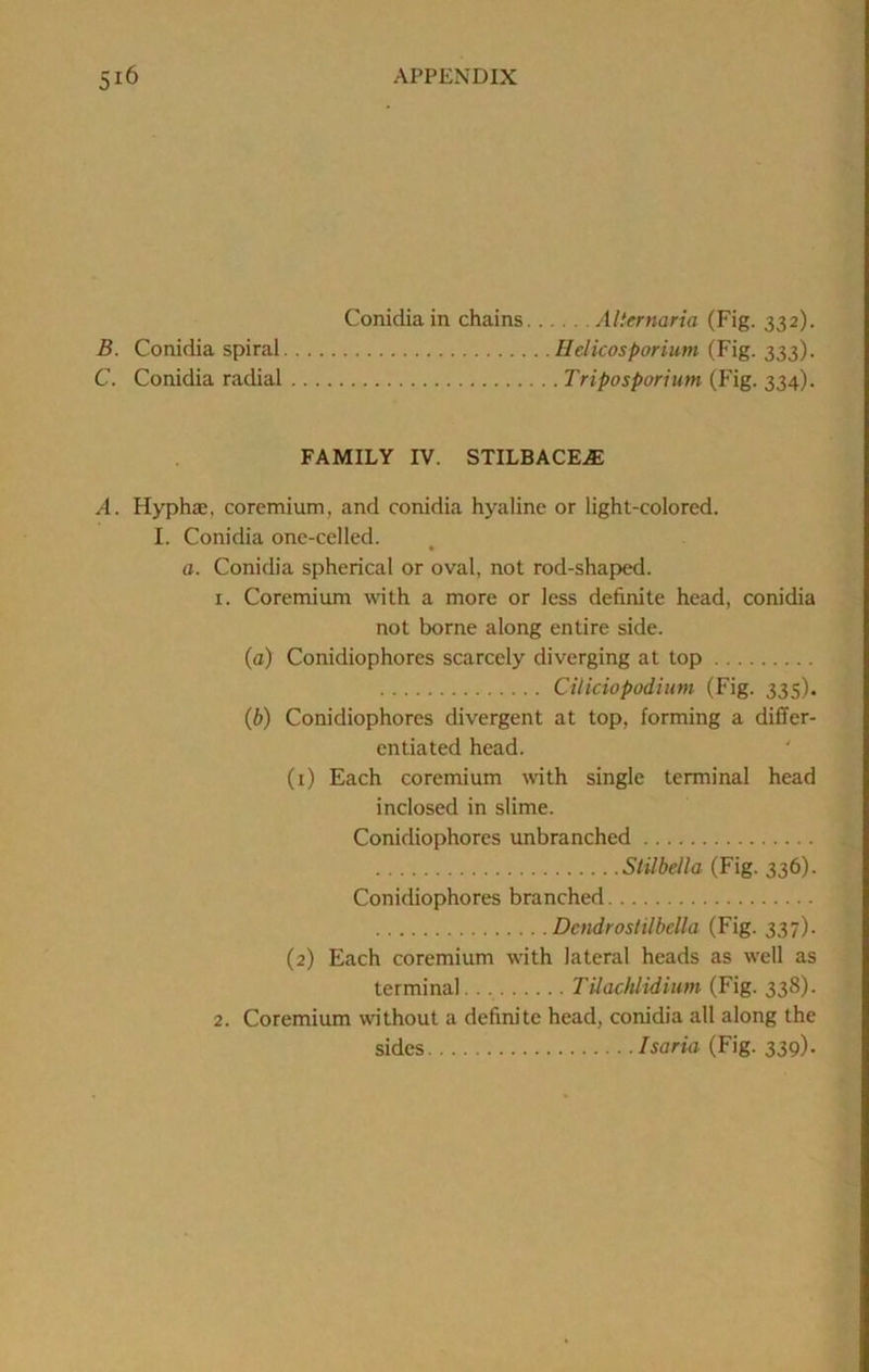 Conidiain chains Alternaria (Fig. 332). B. Conidia spiral Helicosporium (Fig. 333). C. Conidia radial Triposporium (Fig. 334). FAMILY IV. STILBACEAE A. Hypha:, coremium, and conidia hyaline or light-colored. I. Conidia one-celled. « a. Conidia spherical or oval, not rod-shaped. 1. Coremium with a more or less definite head, conidia not borne along entire side. (a) Conidiophores scarcely diverging at top Ciliciopodium (Fig. 335). (b) Conidiophores divergent at top, forming a differ- entiated head. (1) Each coremium with single terminal head inclosed in slime. Conidiophores unbranched Slilbella (Fig. 336). Conidiophores branched Dcndrostilbella (Fig. 337). (2) Each coremium with lateral heads as well as terminal.. TUachlidium (Fig. 338). 2. Coremium without a definite head, conidia all along the sides Isaria (Fig. 339).